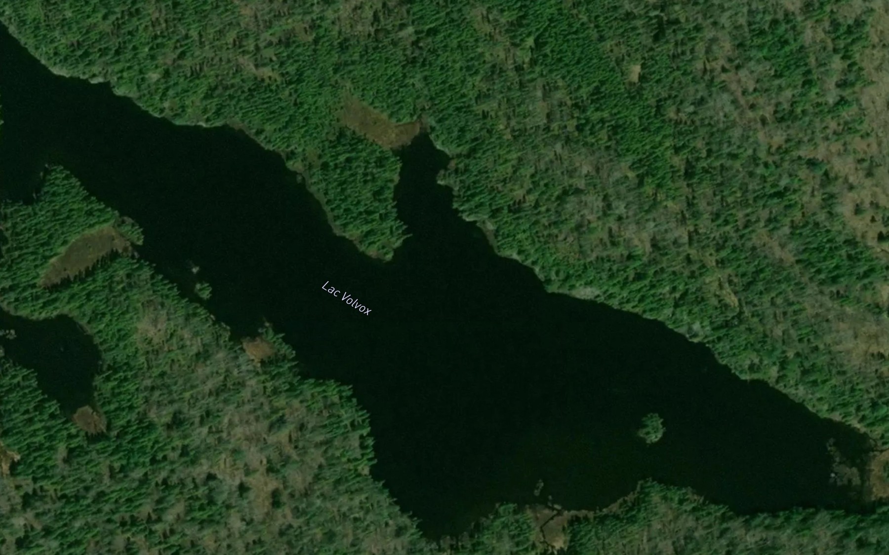 Satellite map of the Lac Volvox