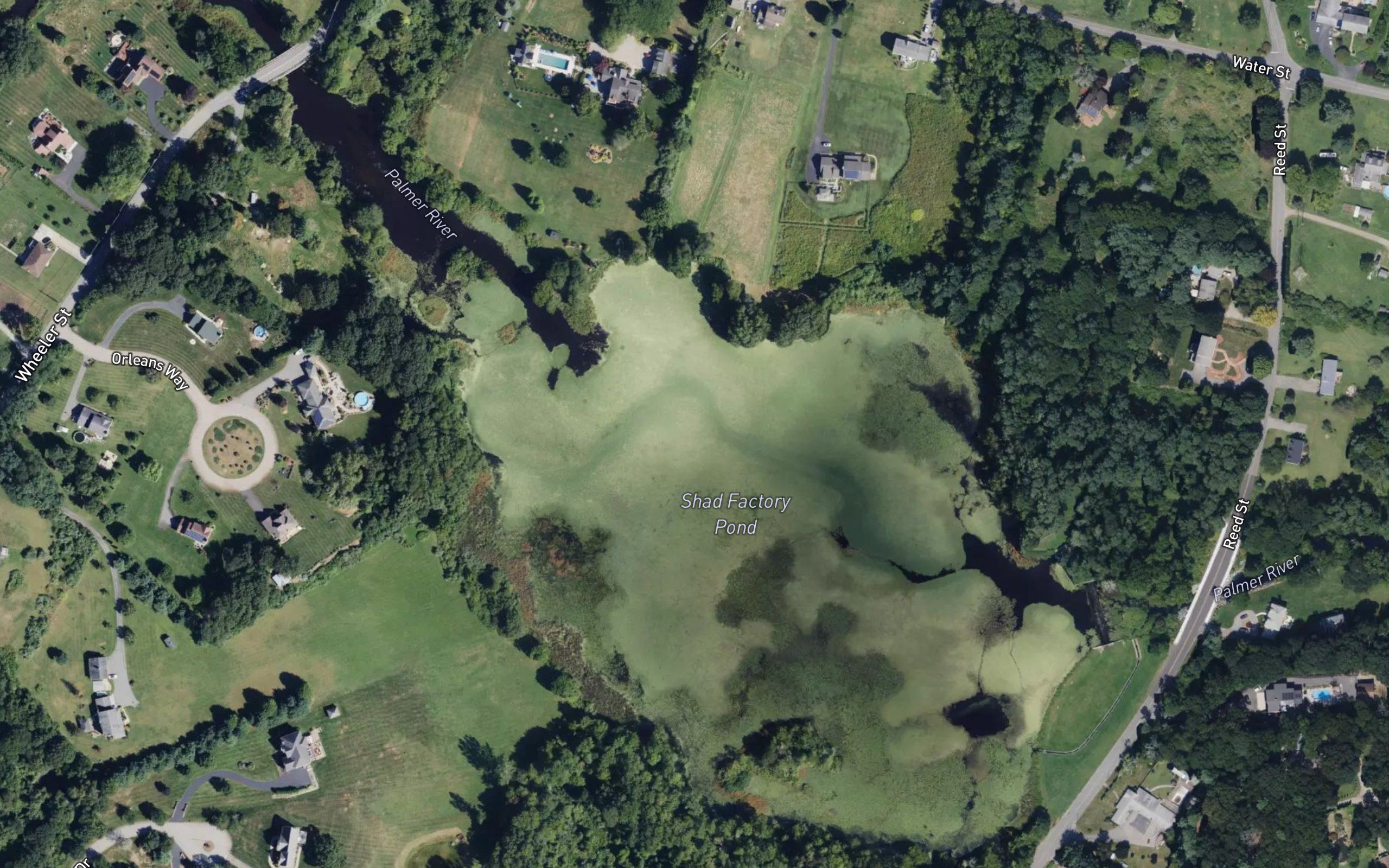 Shad Factory Pond
