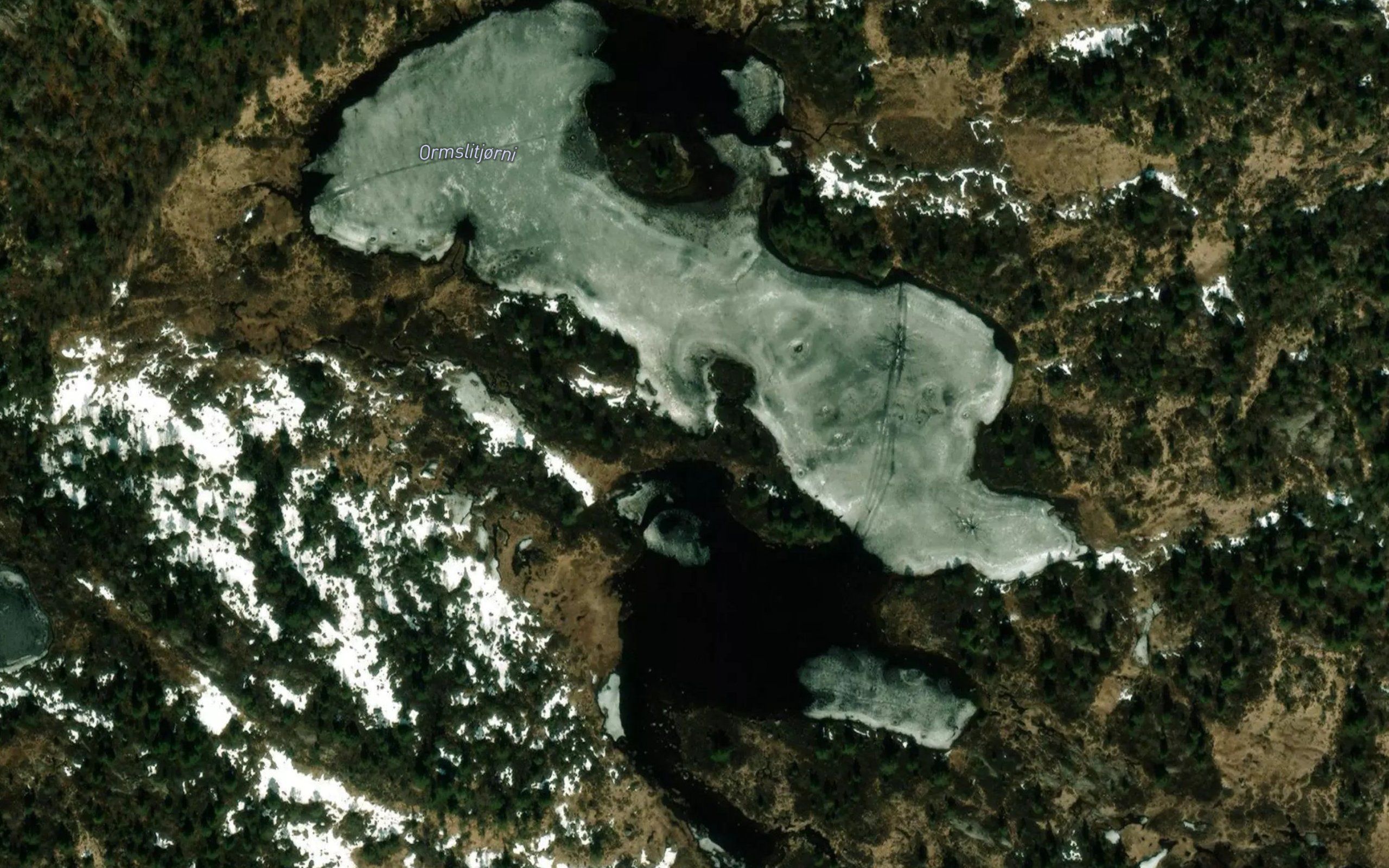 Ormslitjorni