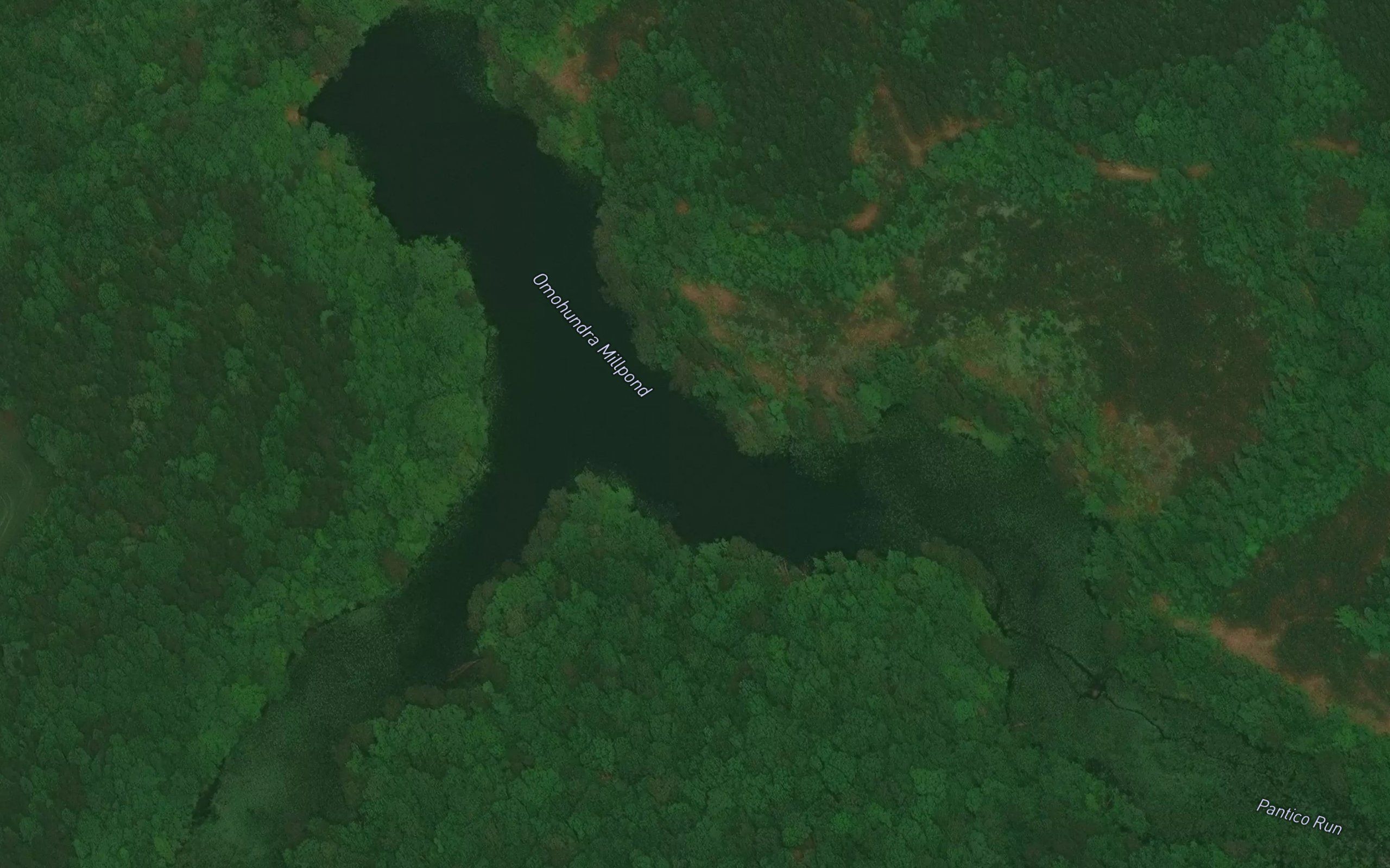 Omohundra Millpond