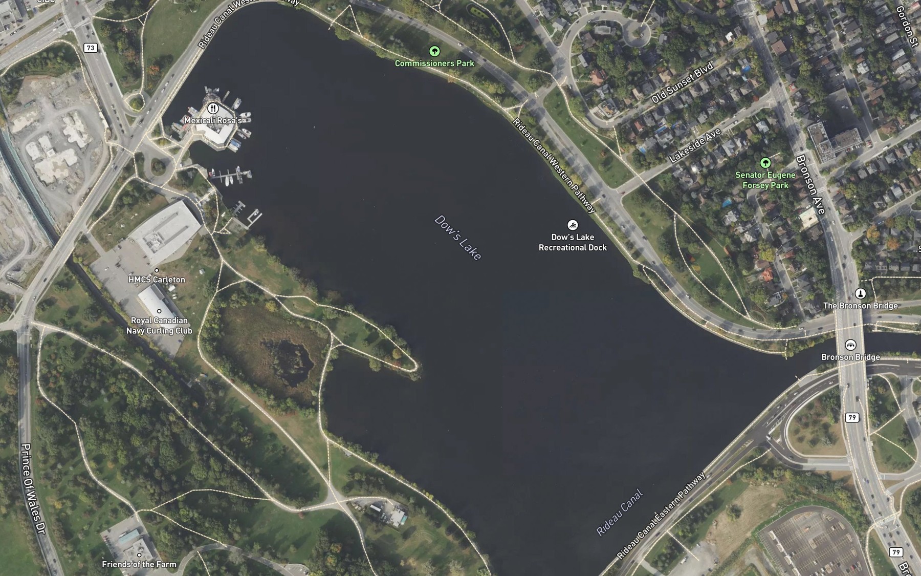 Satellite map of the Dows Lake