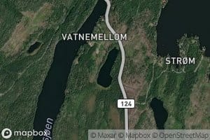 Vatnemellemtjern