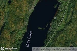 Burt Lake