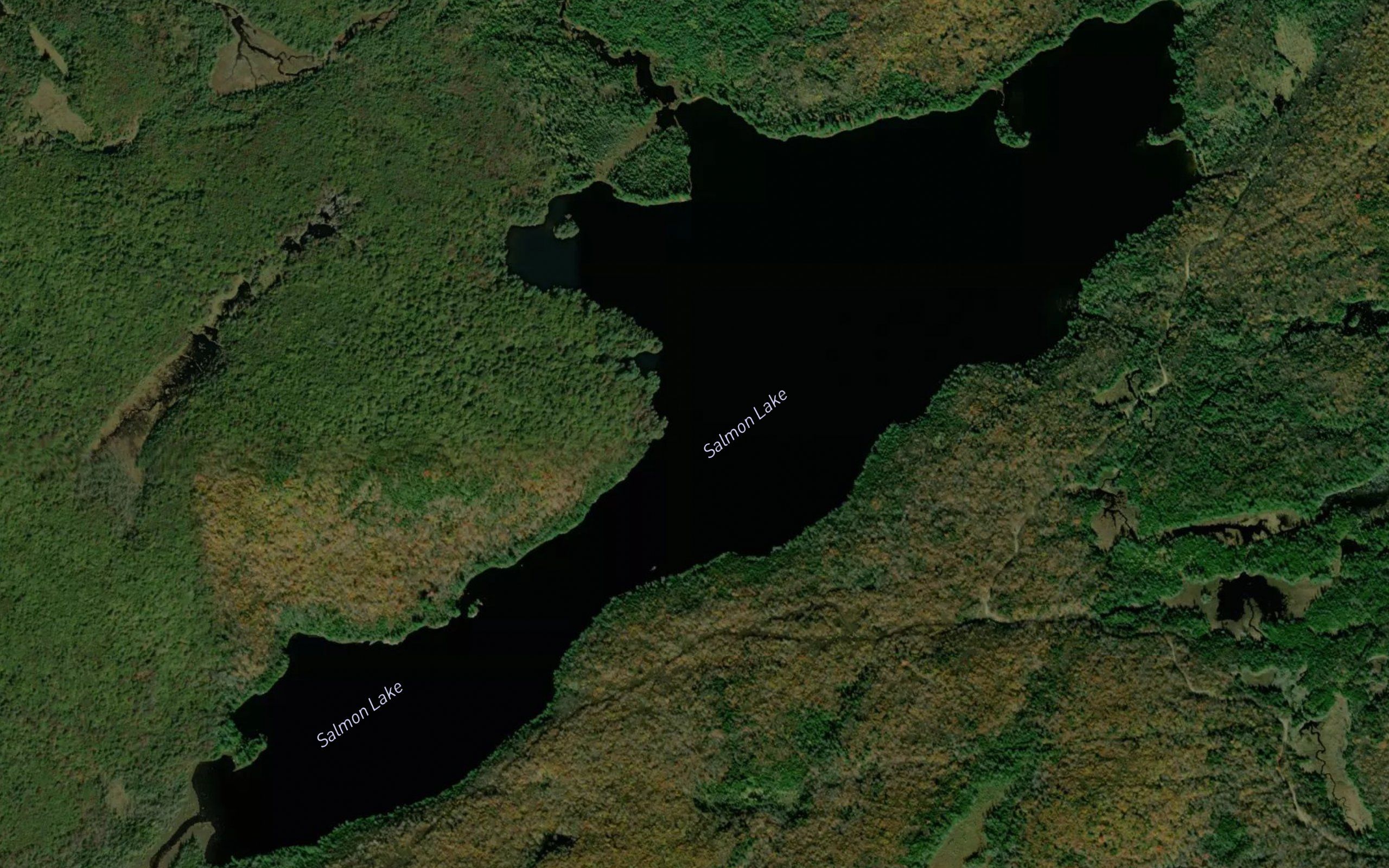 Salmon Lake