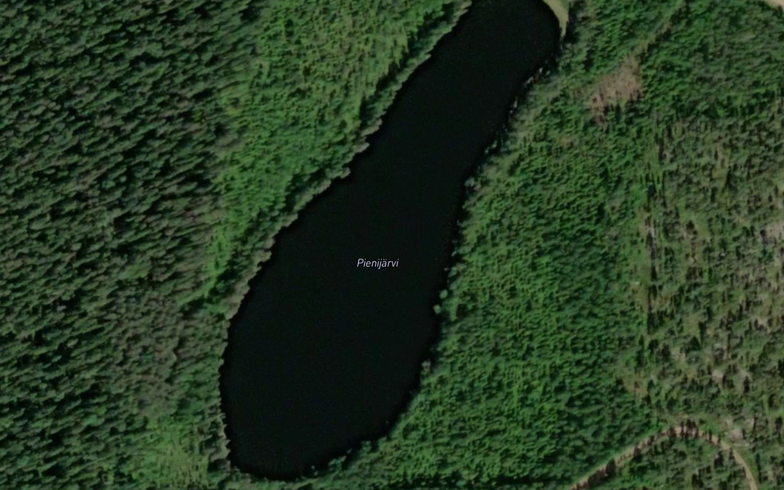 Pienijarvi