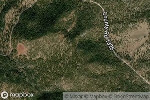 Iris Spring Number One