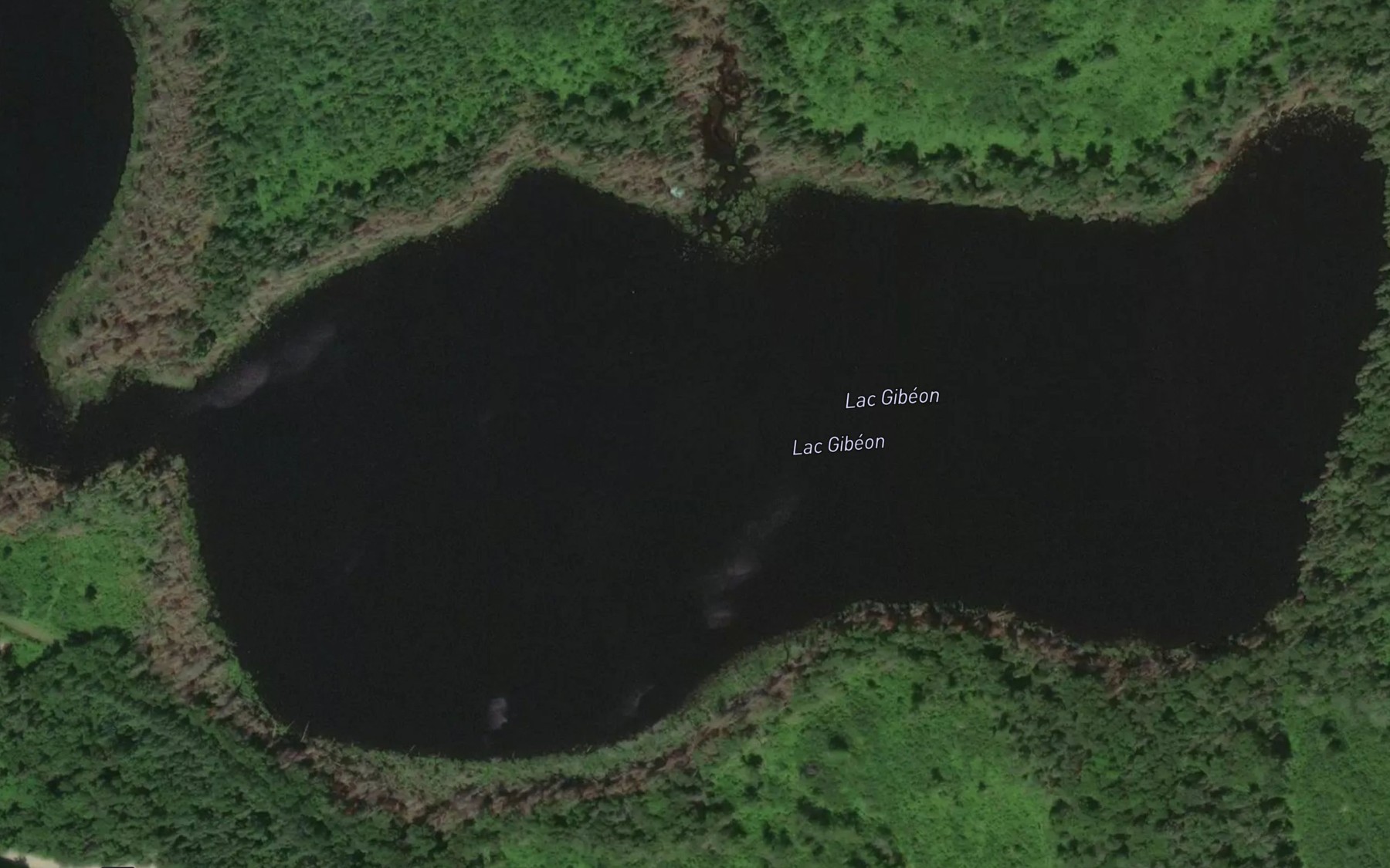 Satellite map of the Lac Gibeon