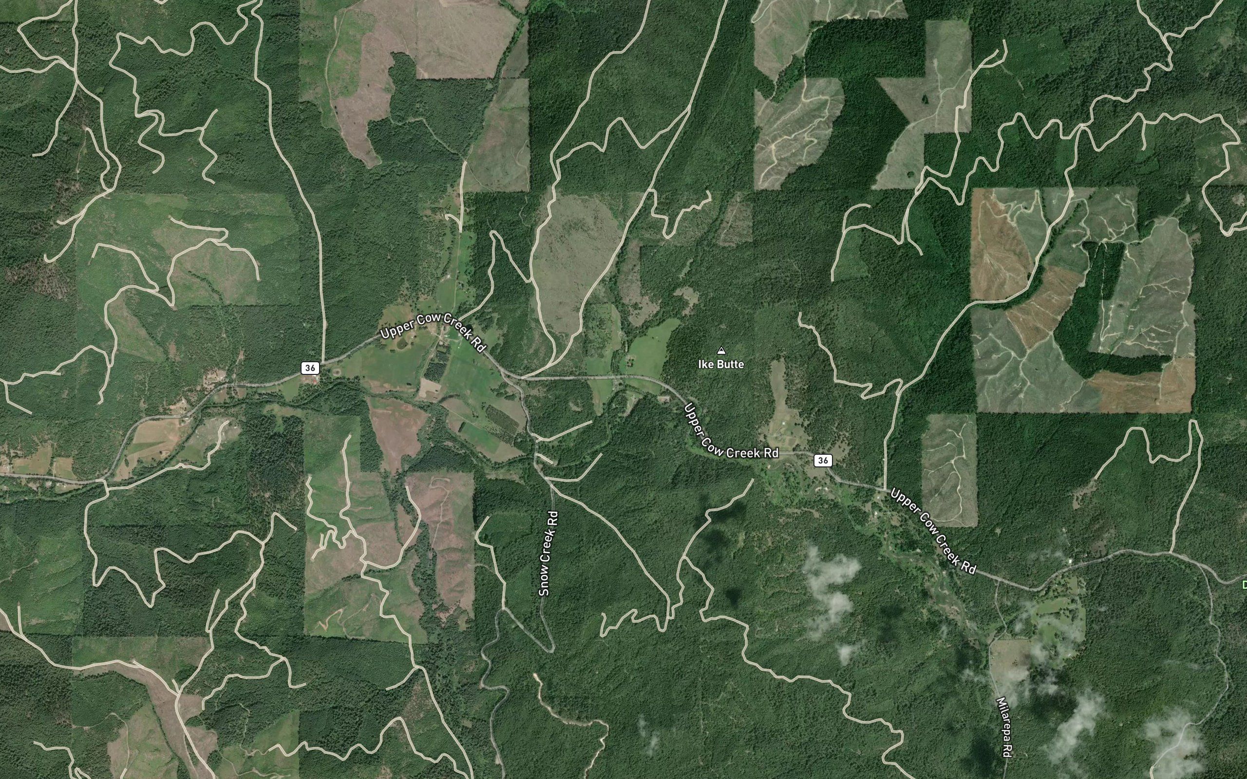 Maple Creek