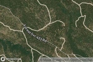 Lower Lillies Spring