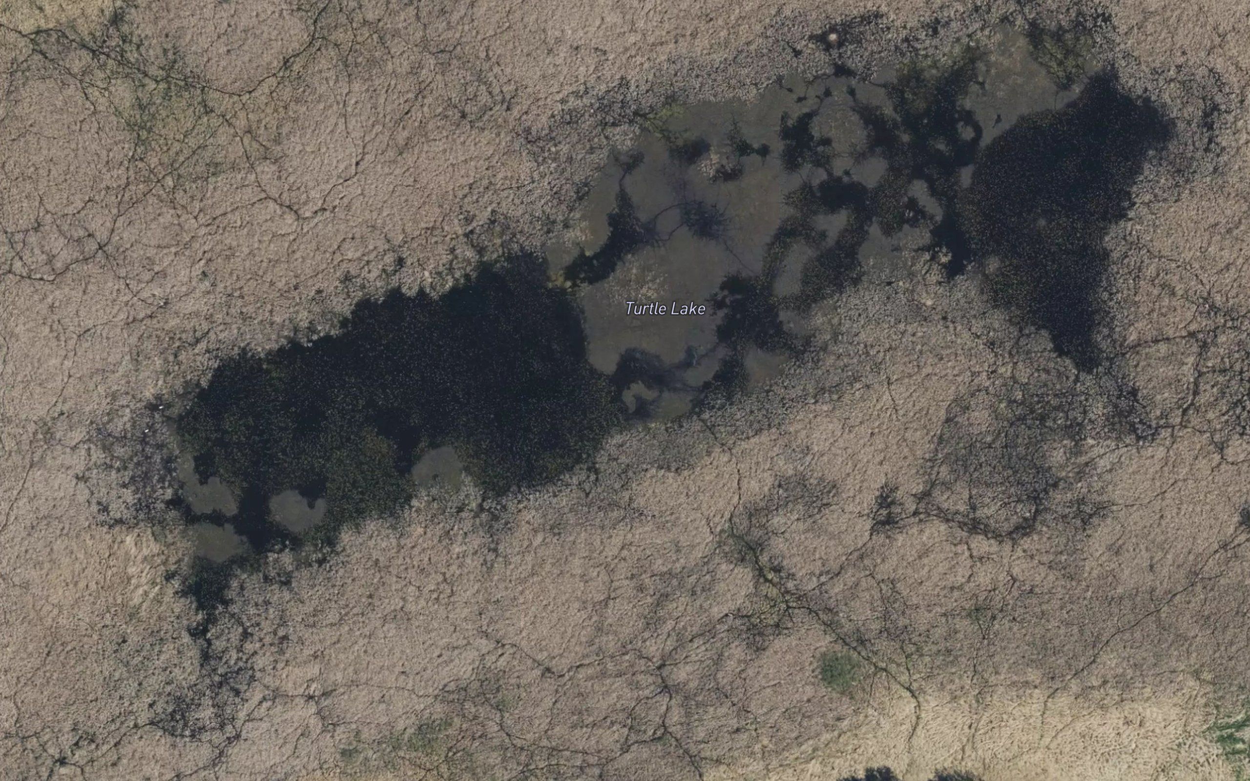 Turtle Lake