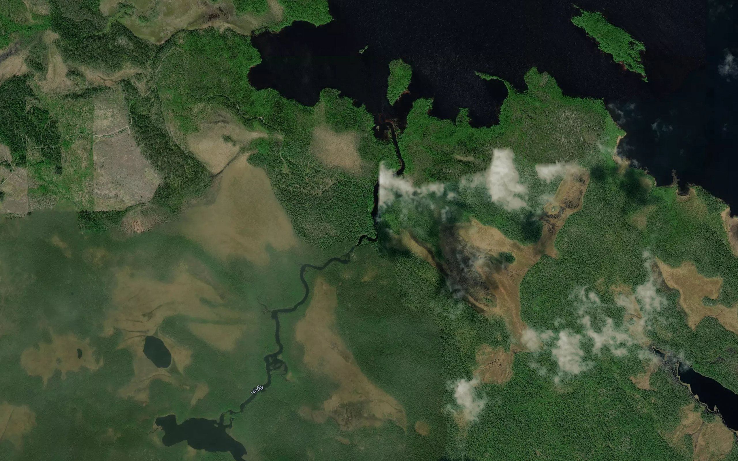 Iyebora