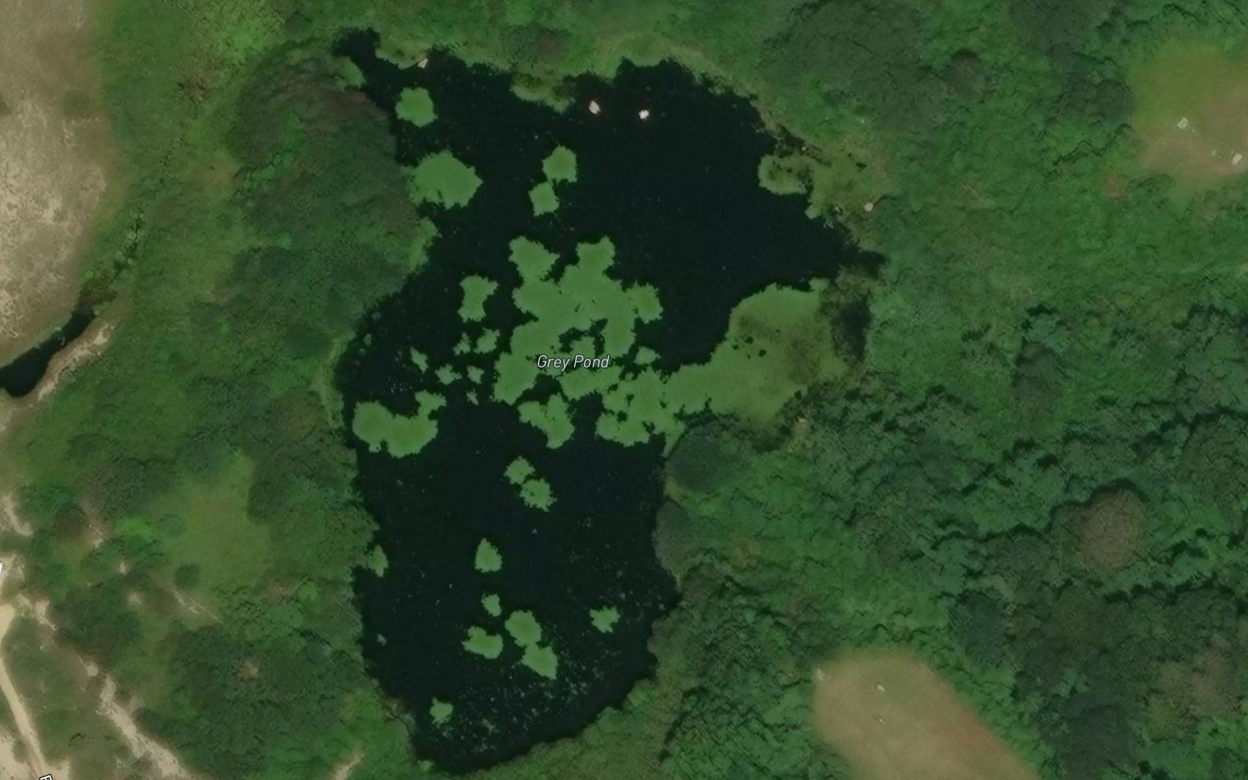 Grey Pond