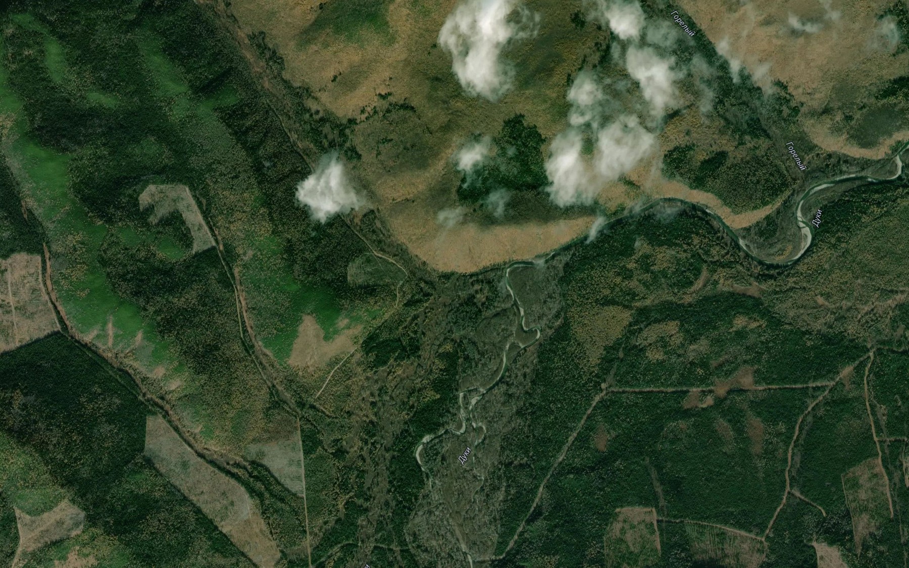 Satellite map of the Razdel'nyy