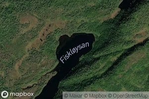 Fiskloysa