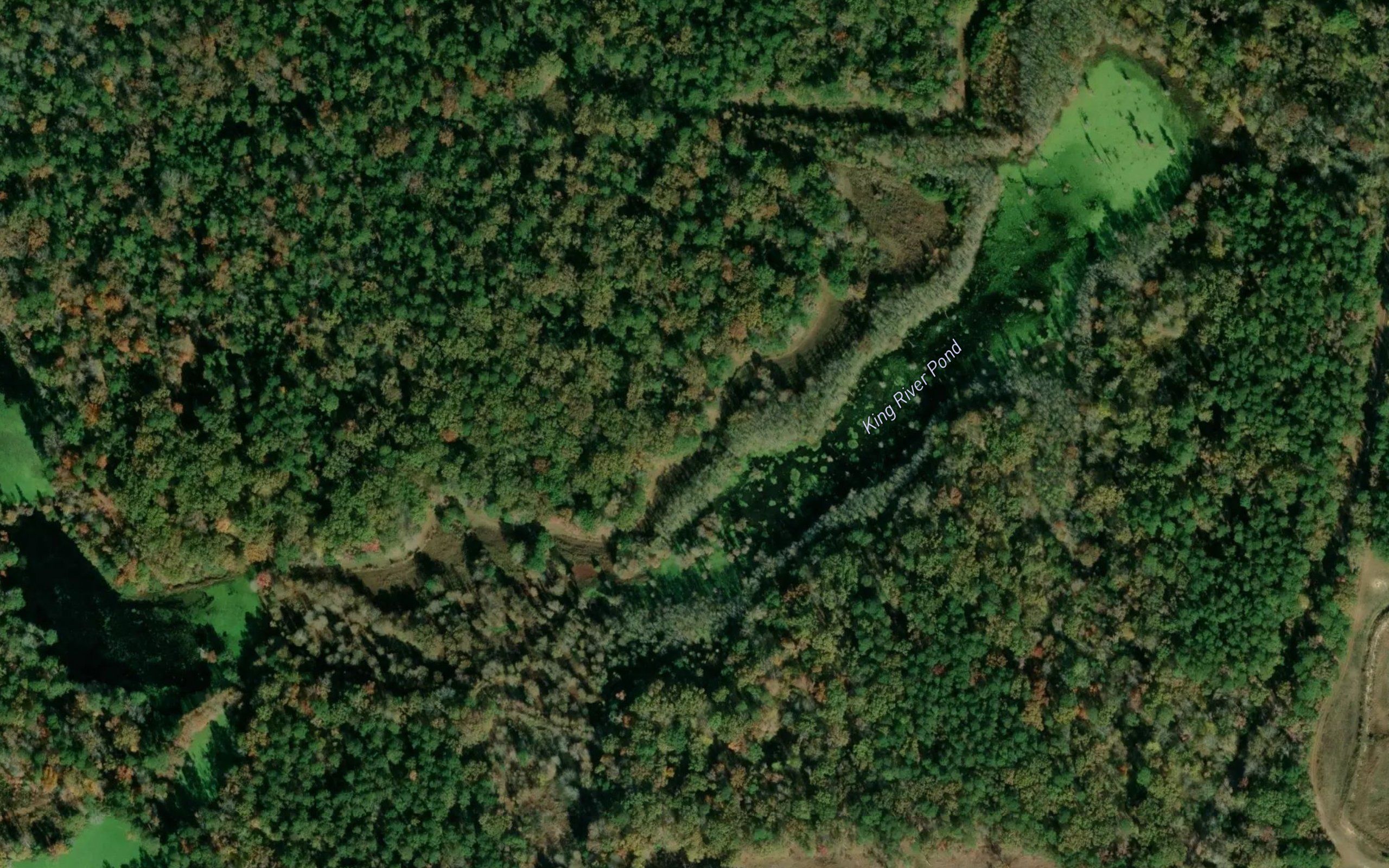 King River Pond
