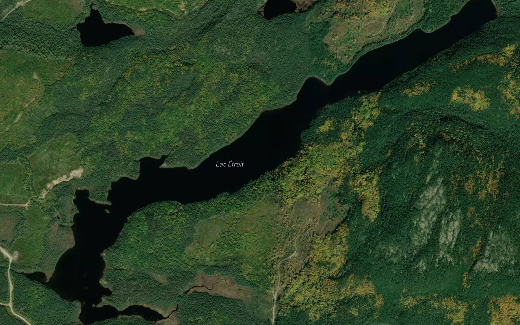 Satellite map of the Lac Etroit