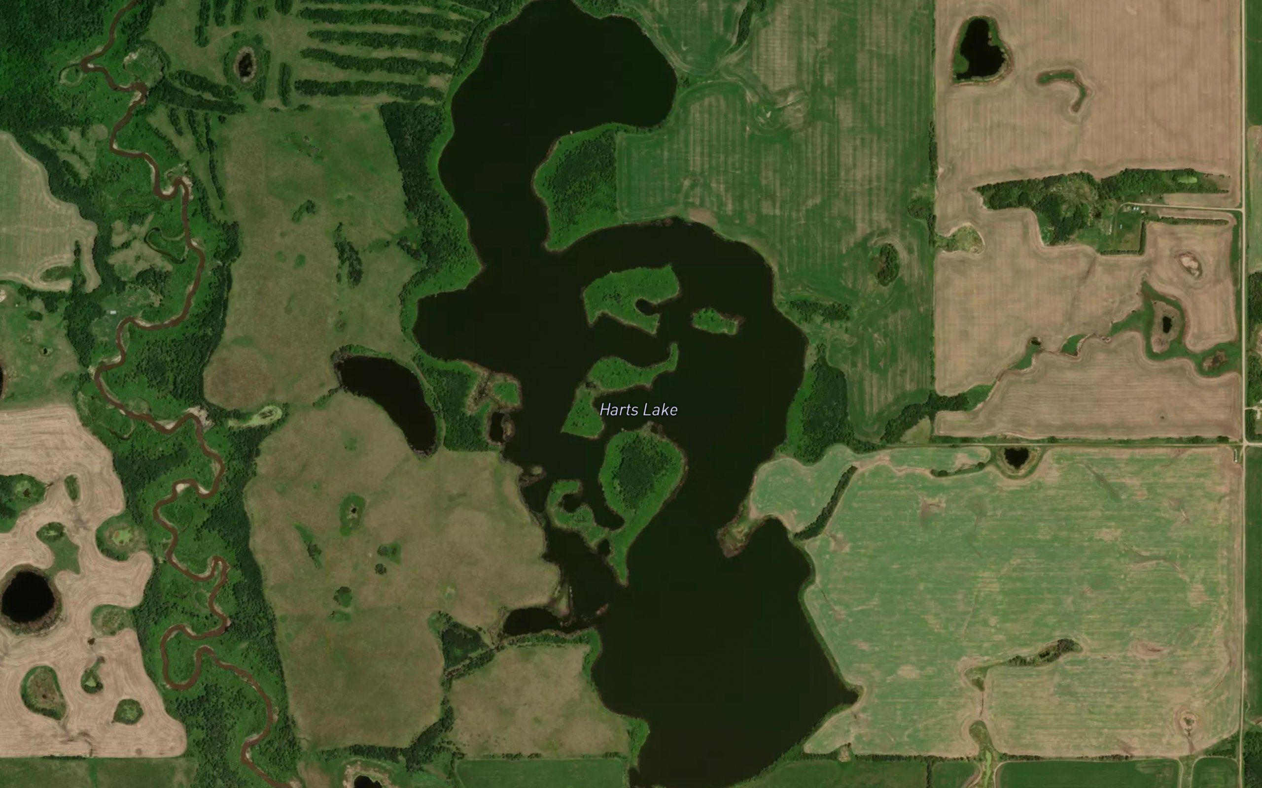 Harts Lake