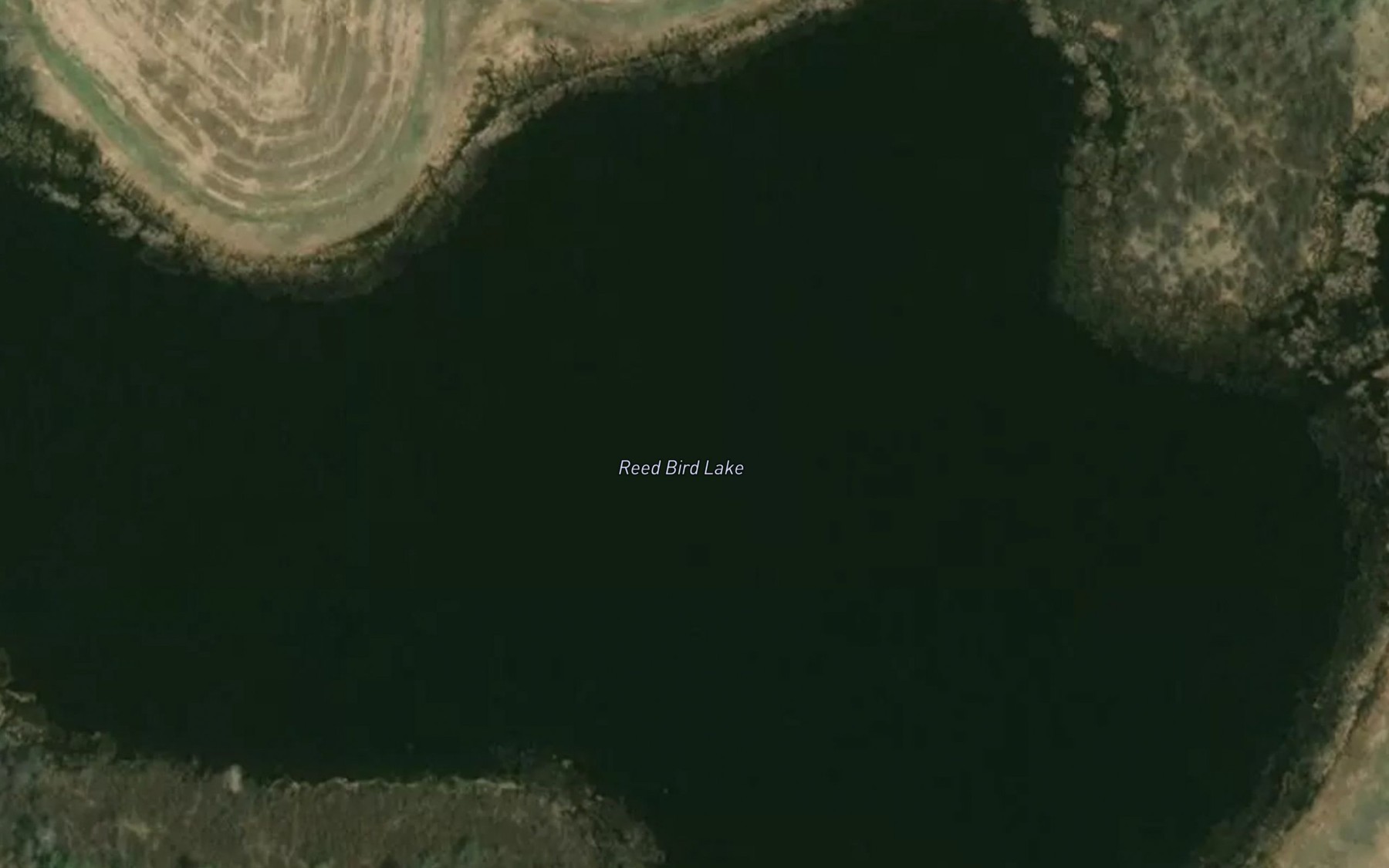 Satellite map of the Reed Bird Lake