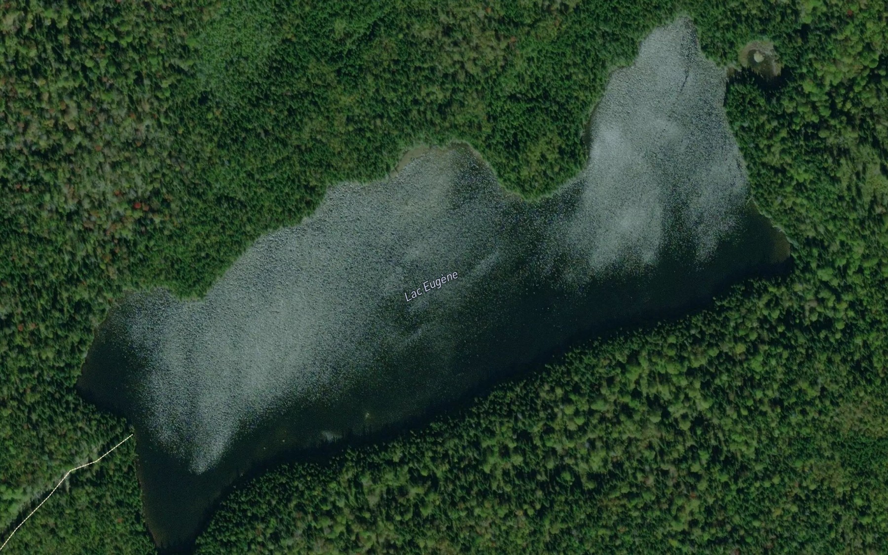 Satellite map of the Lac Eugene