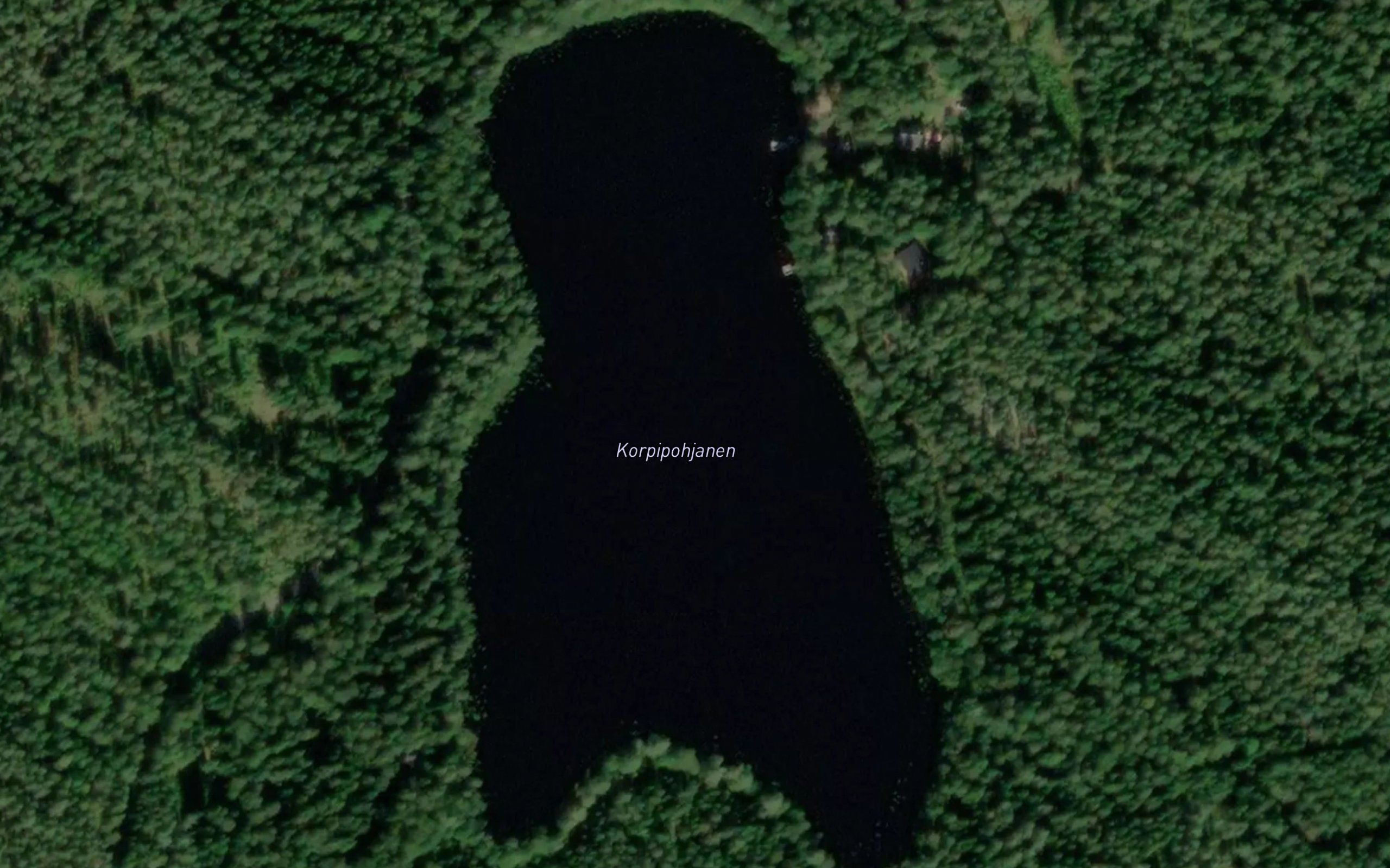 Korpipohjanen