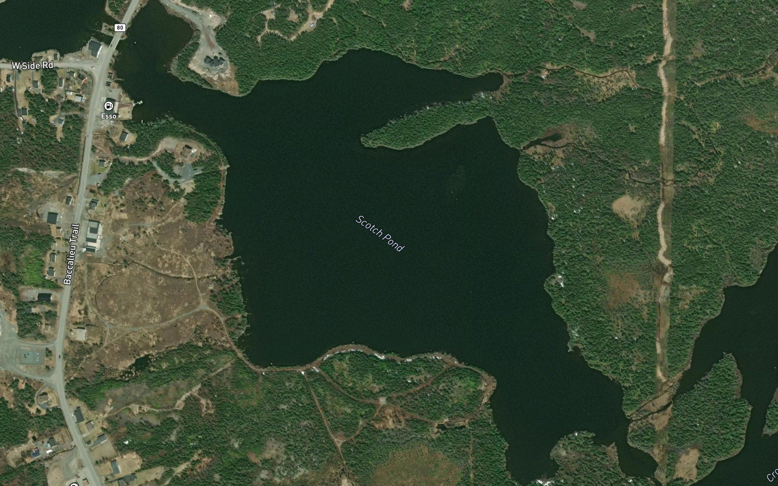 Scotch Pond