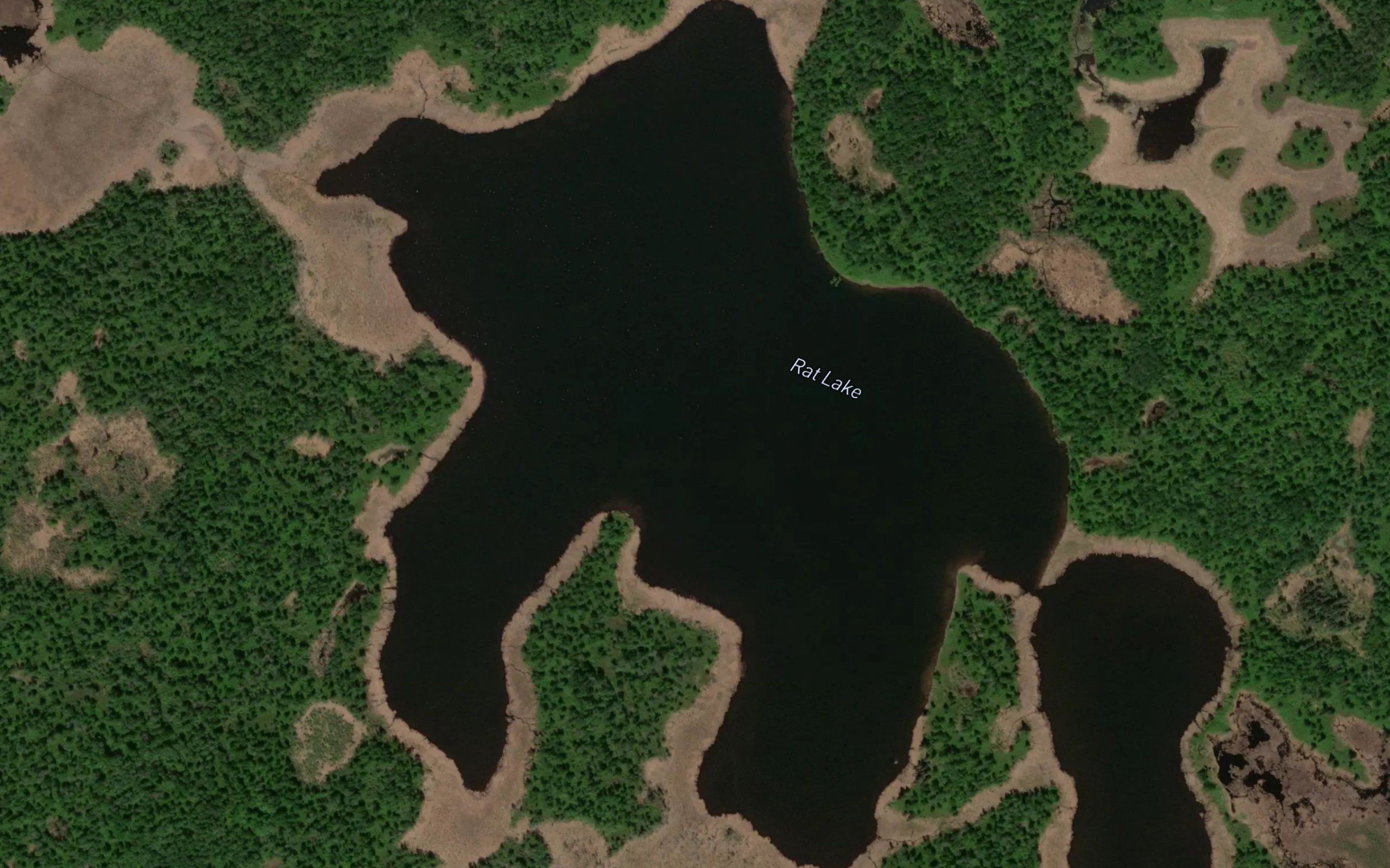 Rat Lake