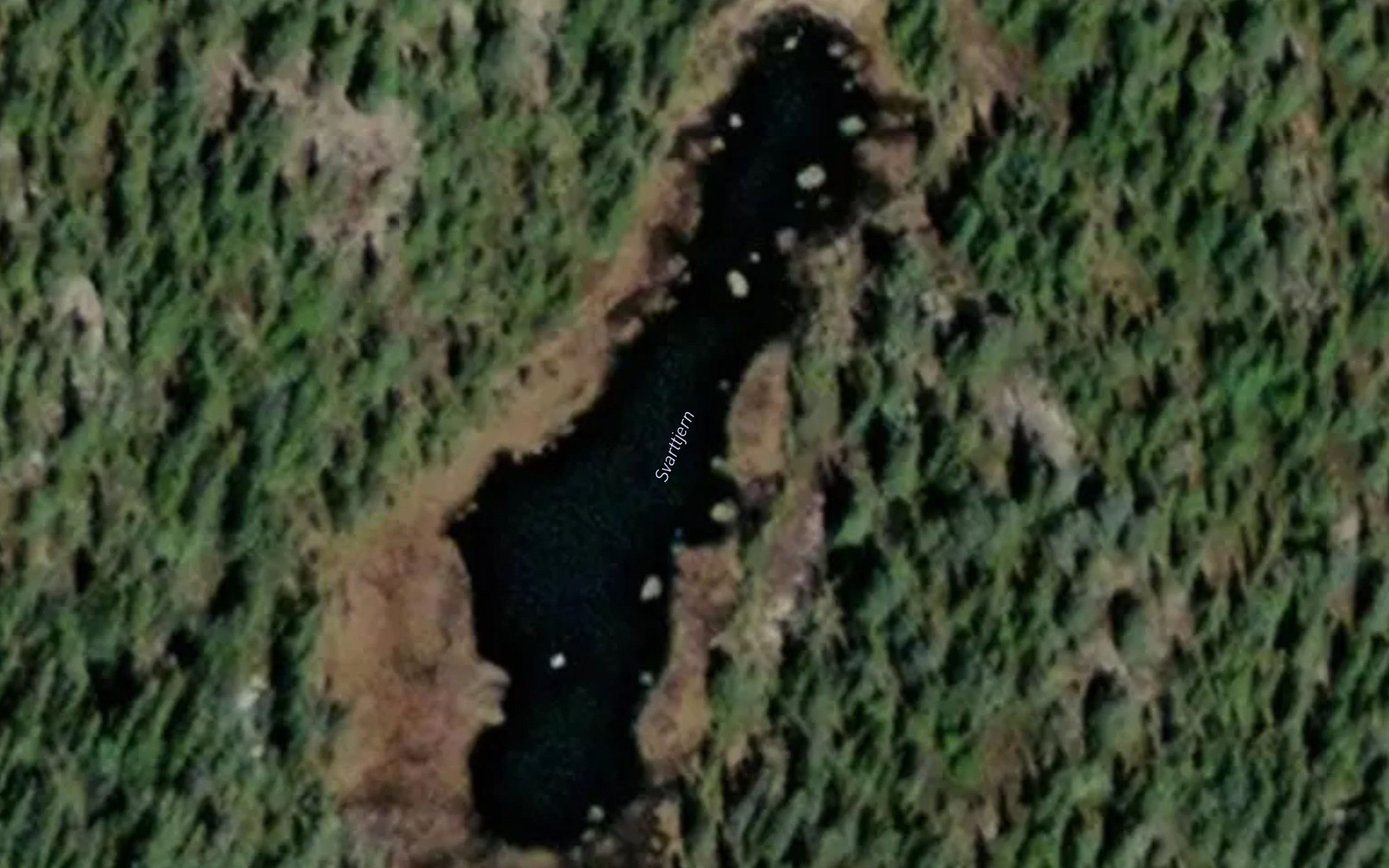 Svarttjern