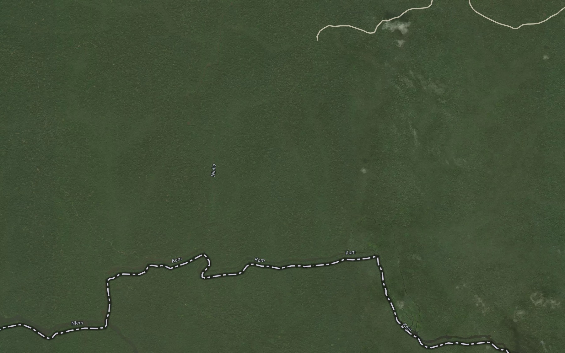 Satellite map of the Nyole