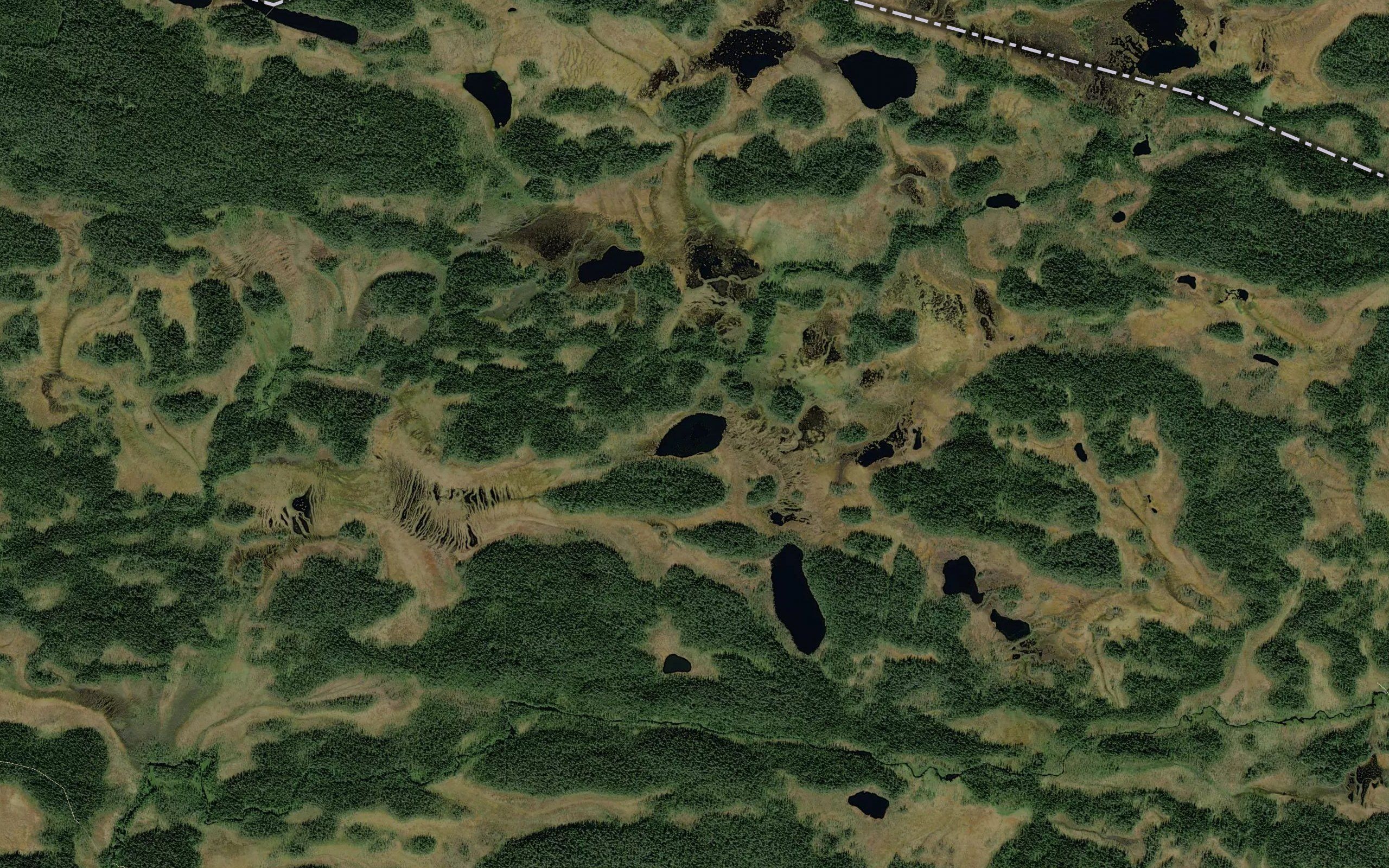 Olkilampi