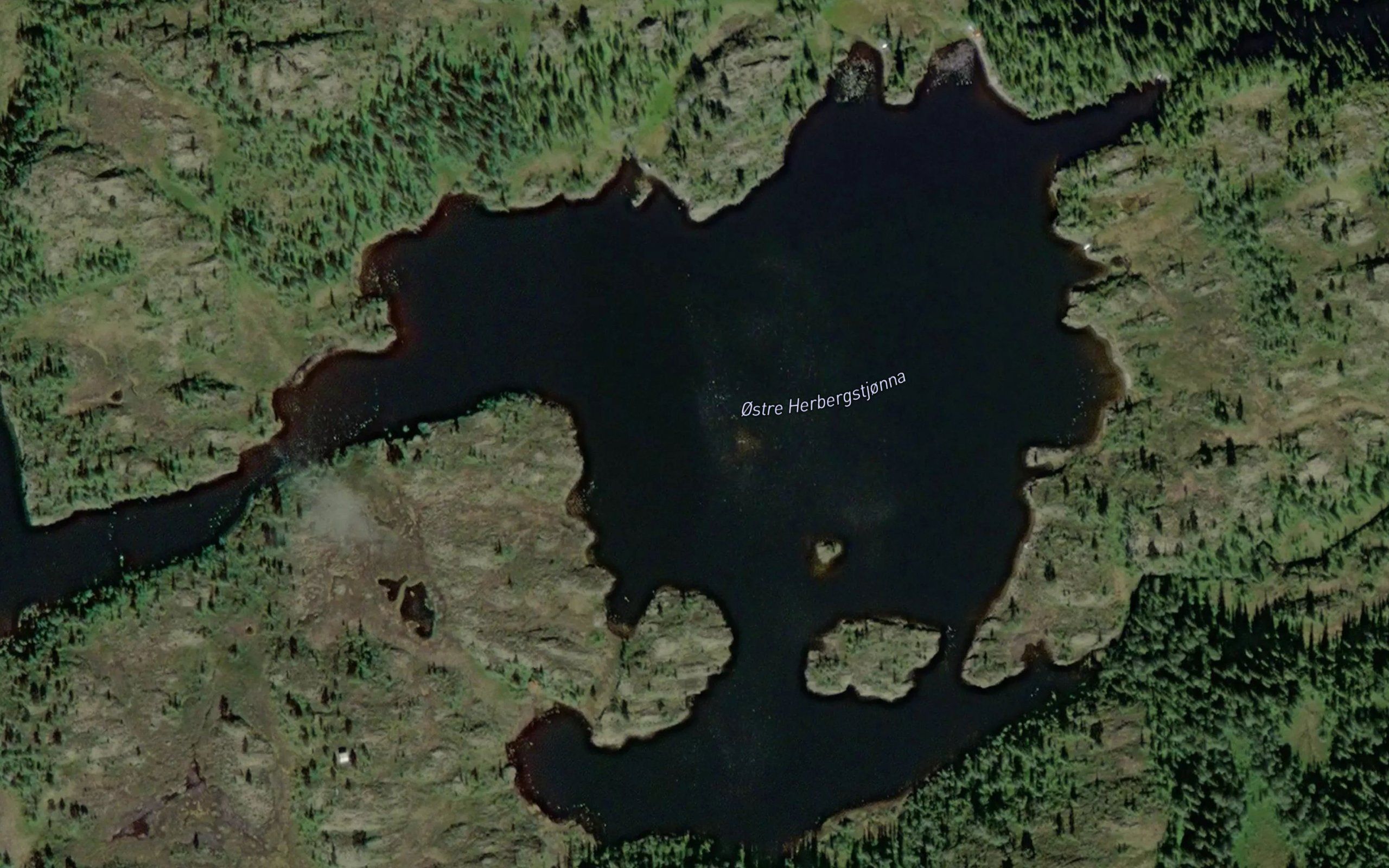 Herbergstjorna