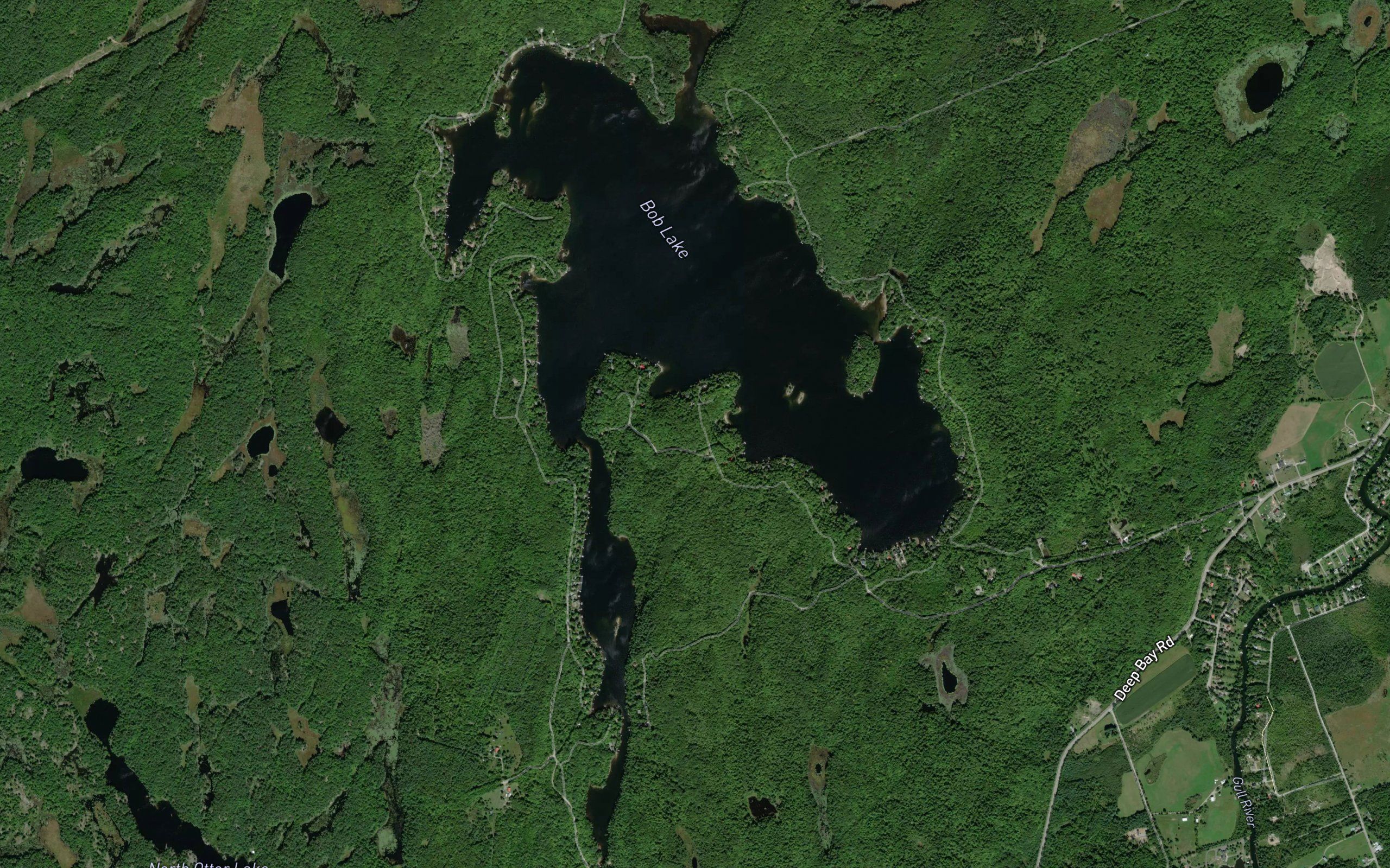 Bob Lake