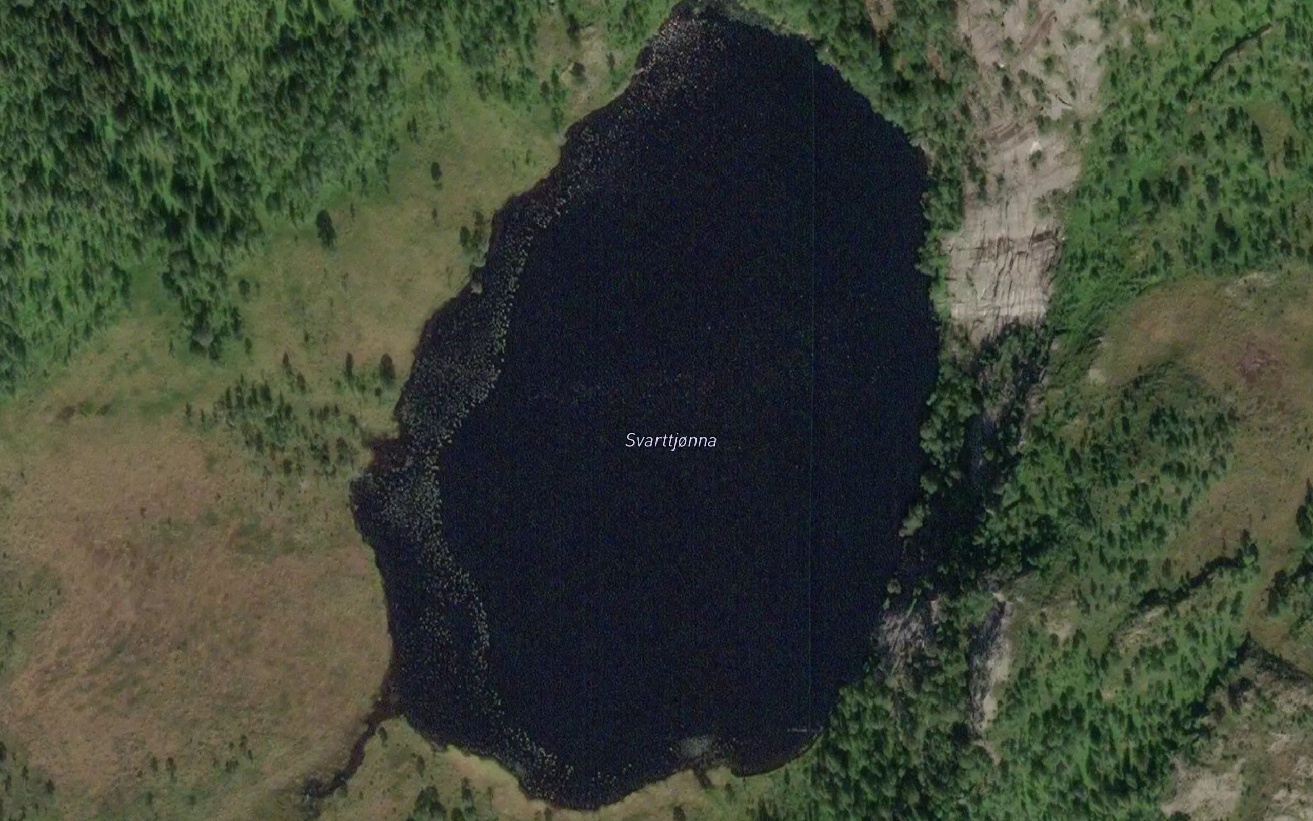 Svarttjorna