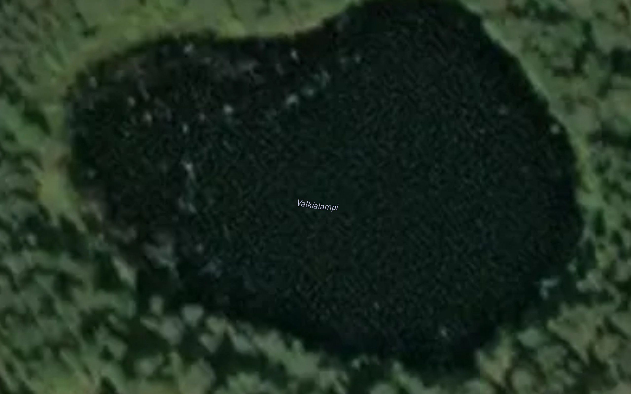 Valkialampi