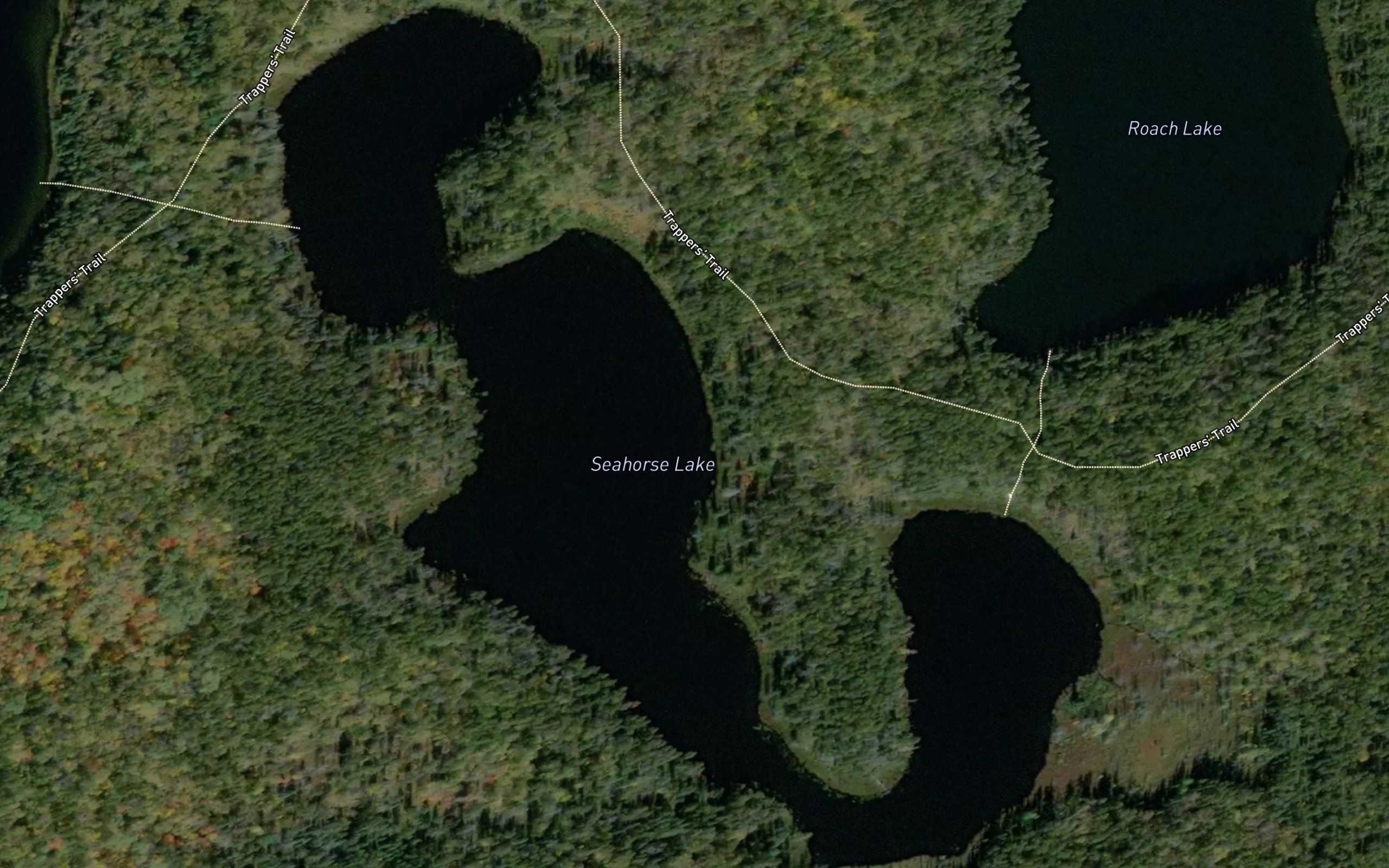 Seahorse Lake