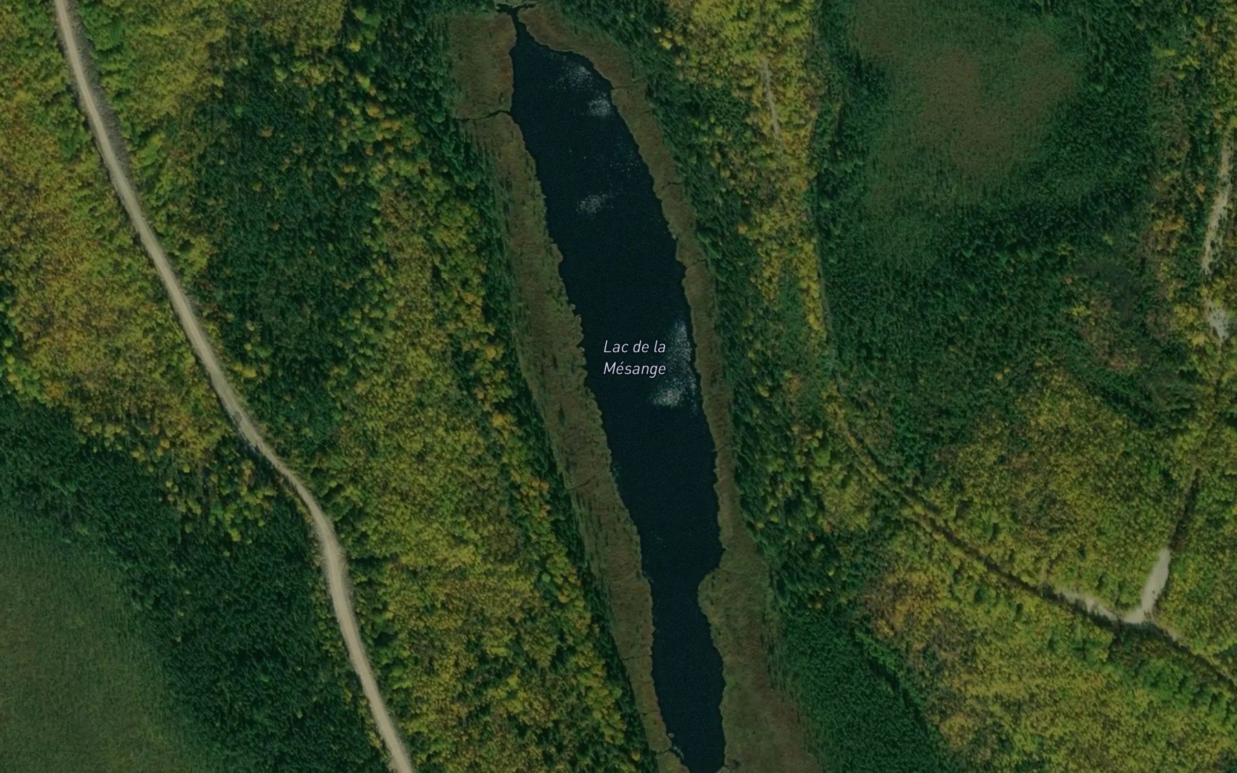 Satellite map of the Lac de la Mesange