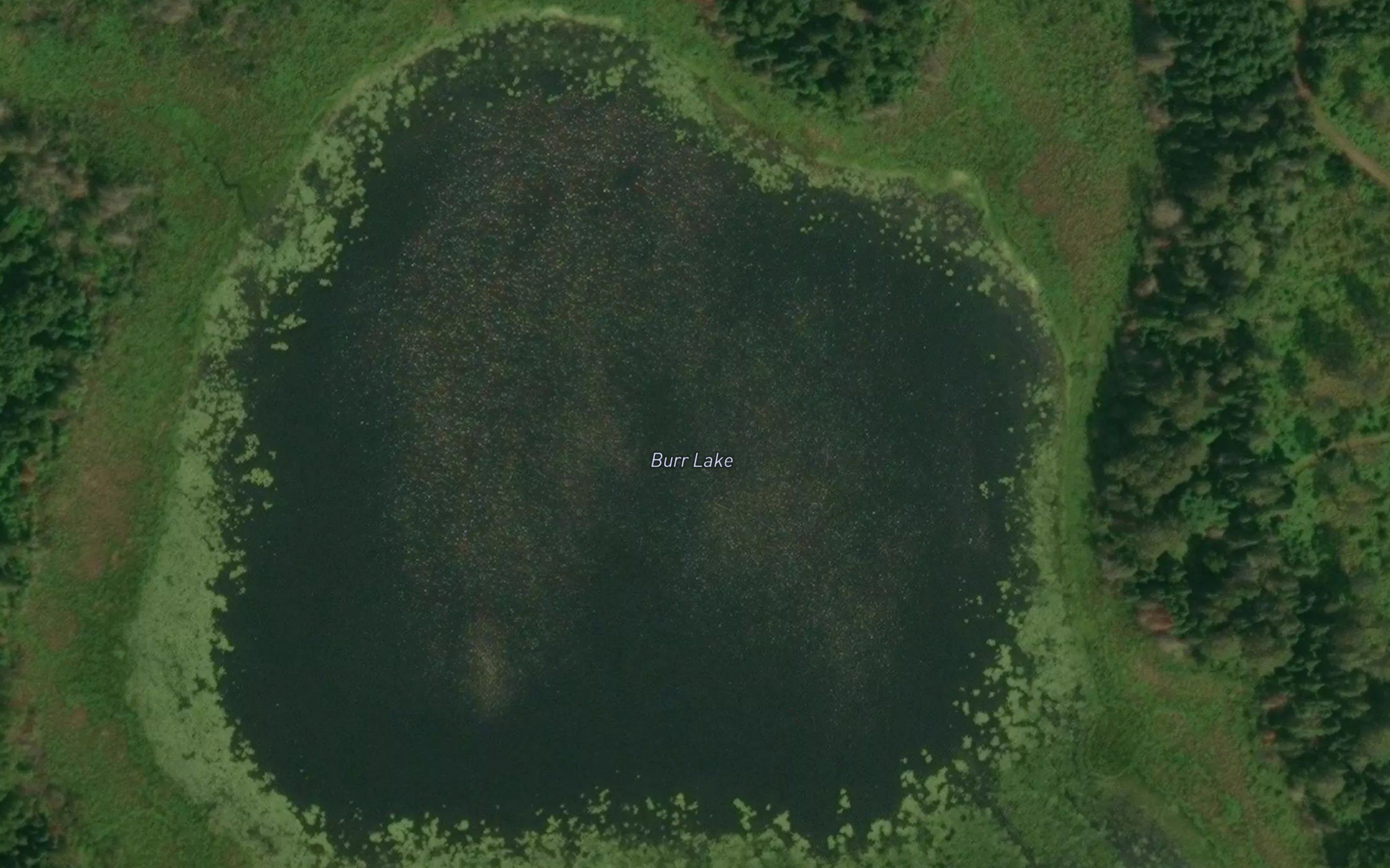 Burr Lake