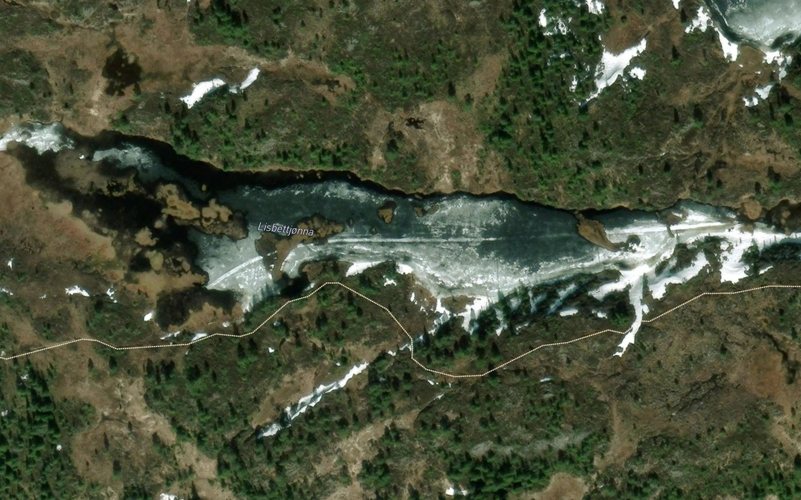 Lisbettjonna