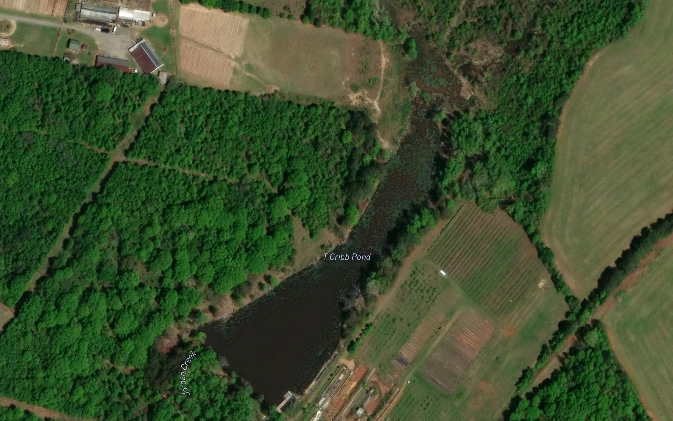 T Cribb Pond