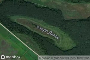 Ozero Dikoye