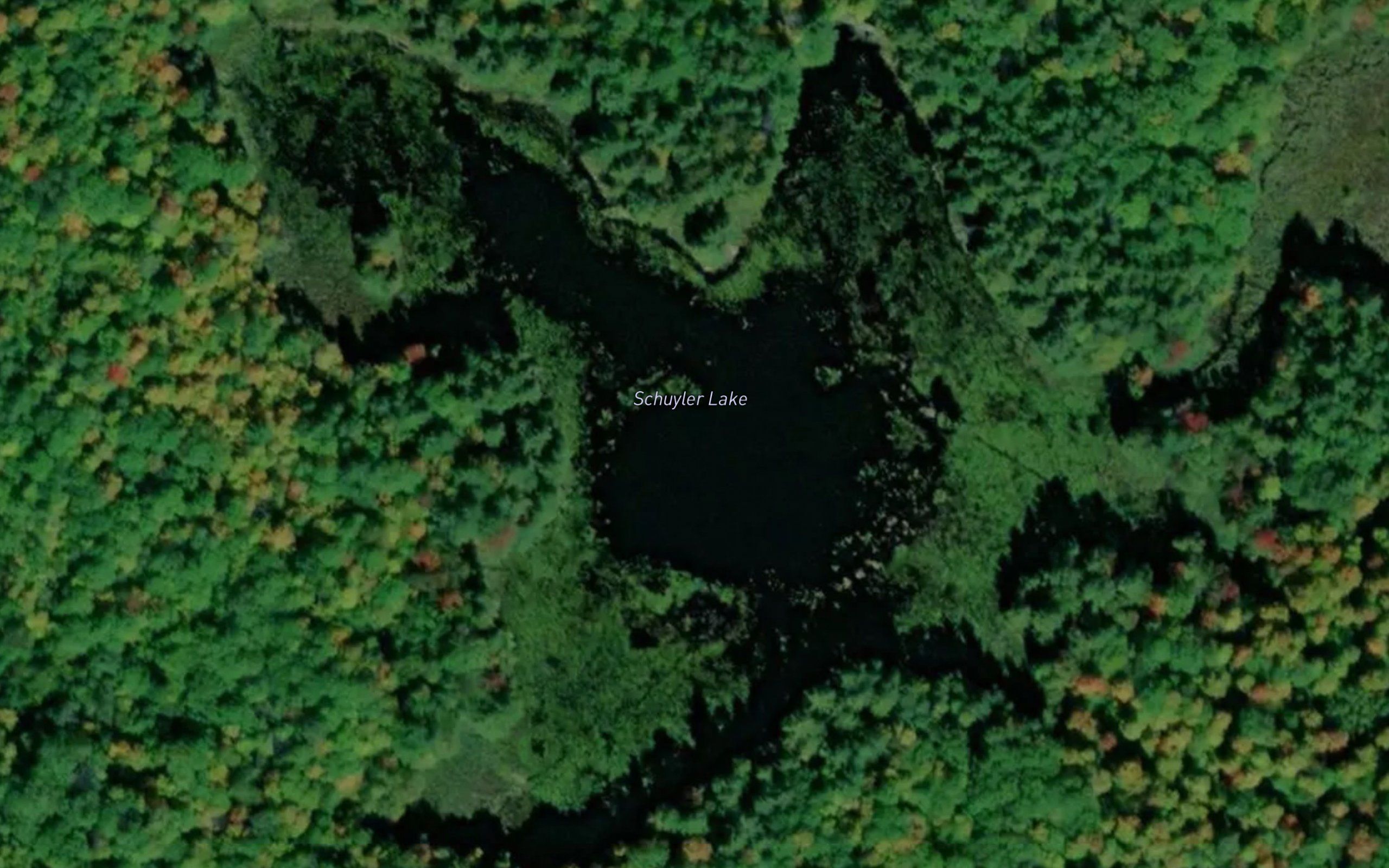 Schuyler Lake
