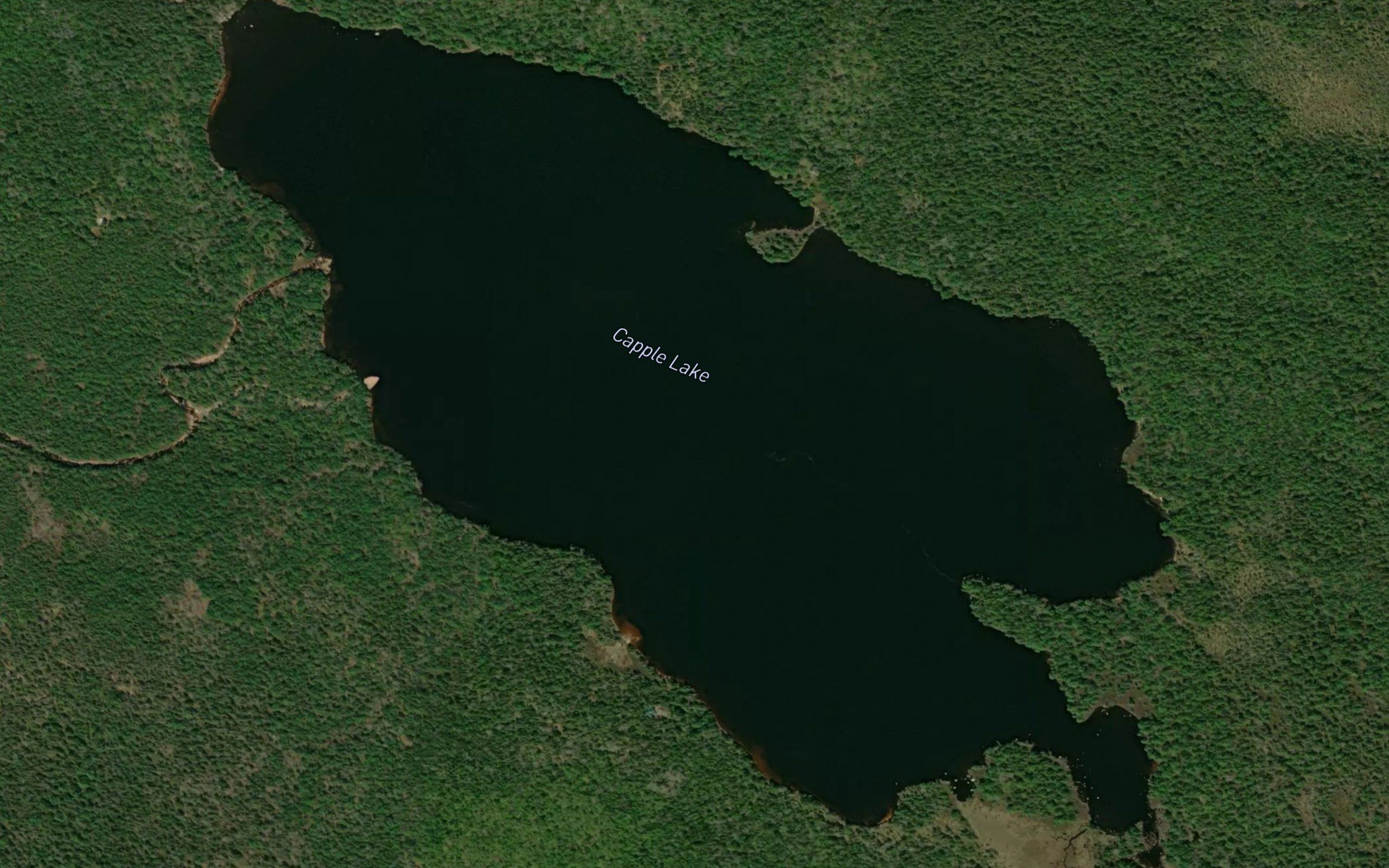 Capple Lake