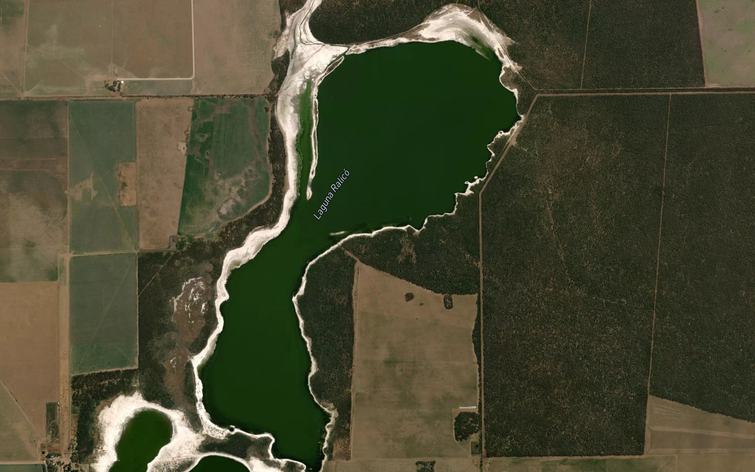 Laguna Ralico
