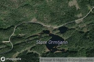 Store Ormtjonn