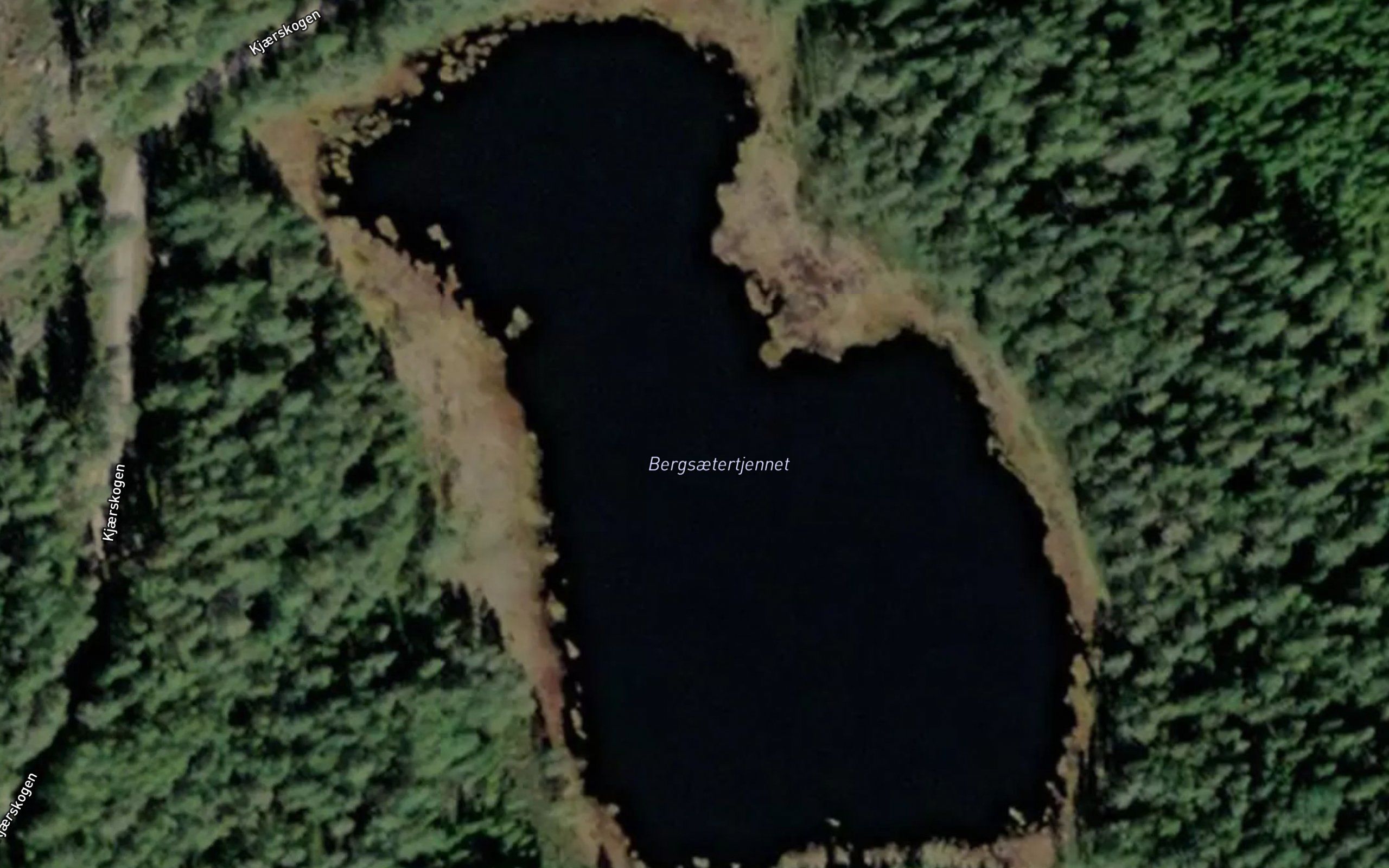 Bergsaetertjennet