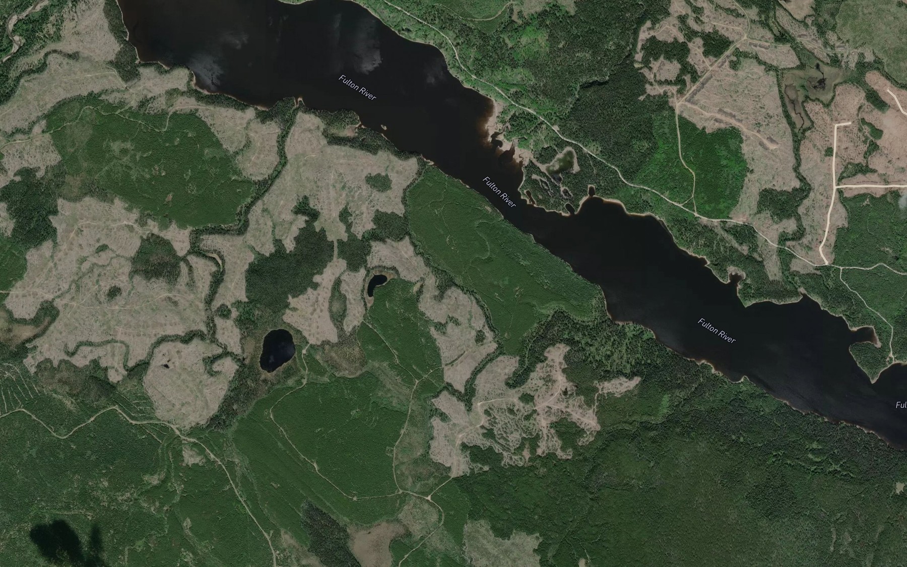 Satellite map of the Maidment Creek