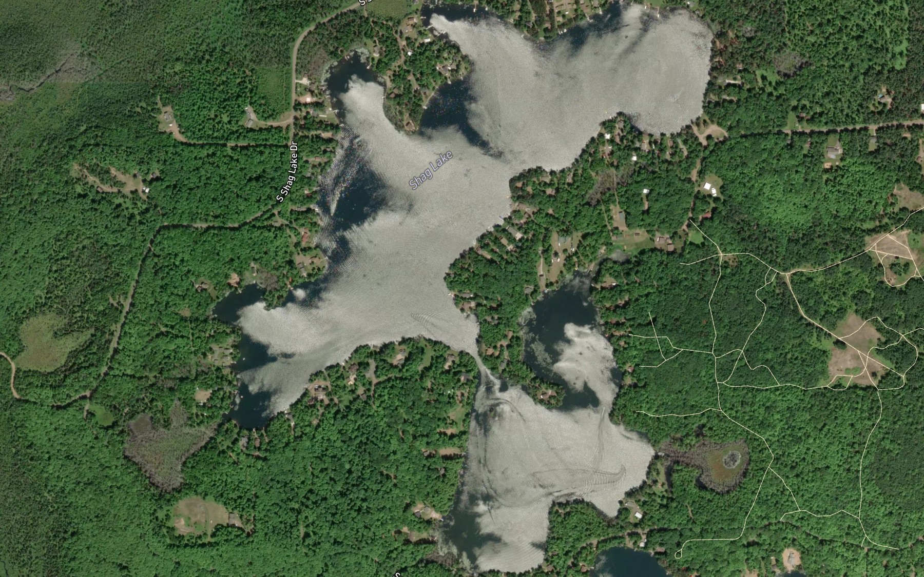 Satellite map of the Shag Lake