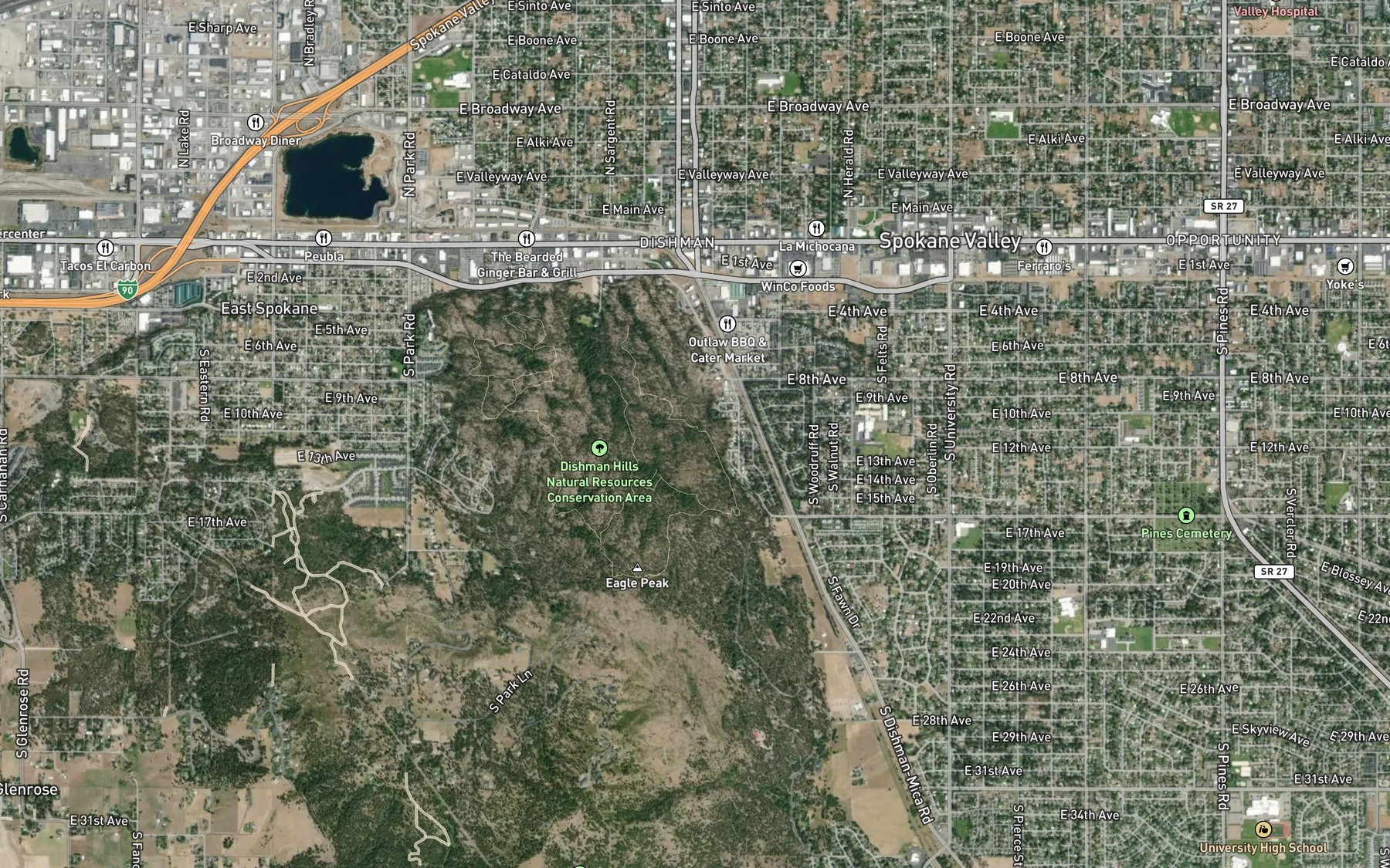 Satellite map of the Goldback Spring