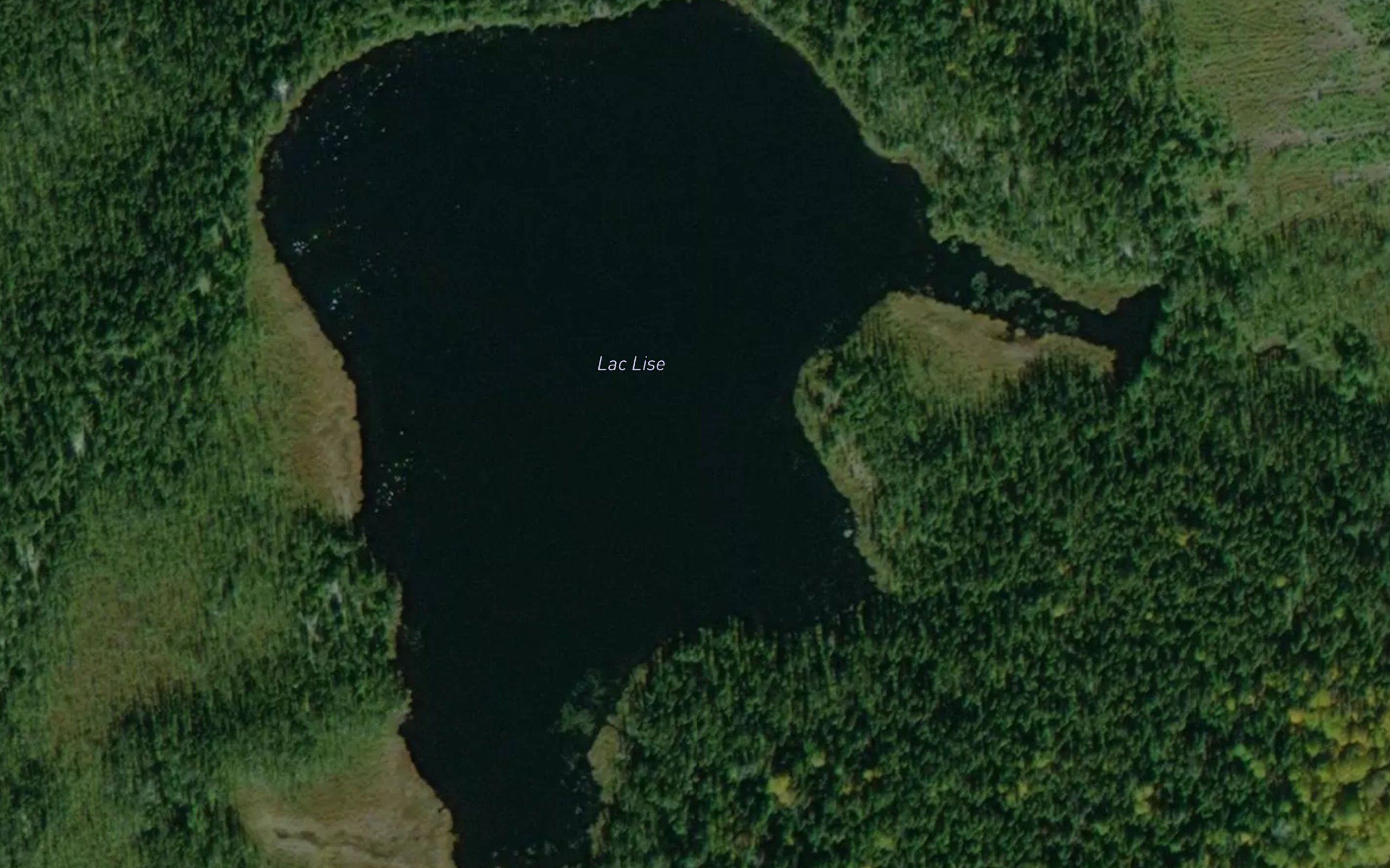 Lac Lise