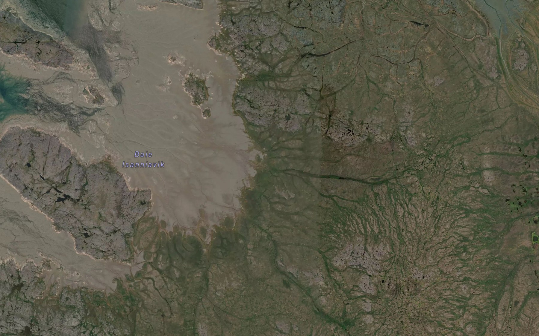 Satellite map of the Baie Isanniavik