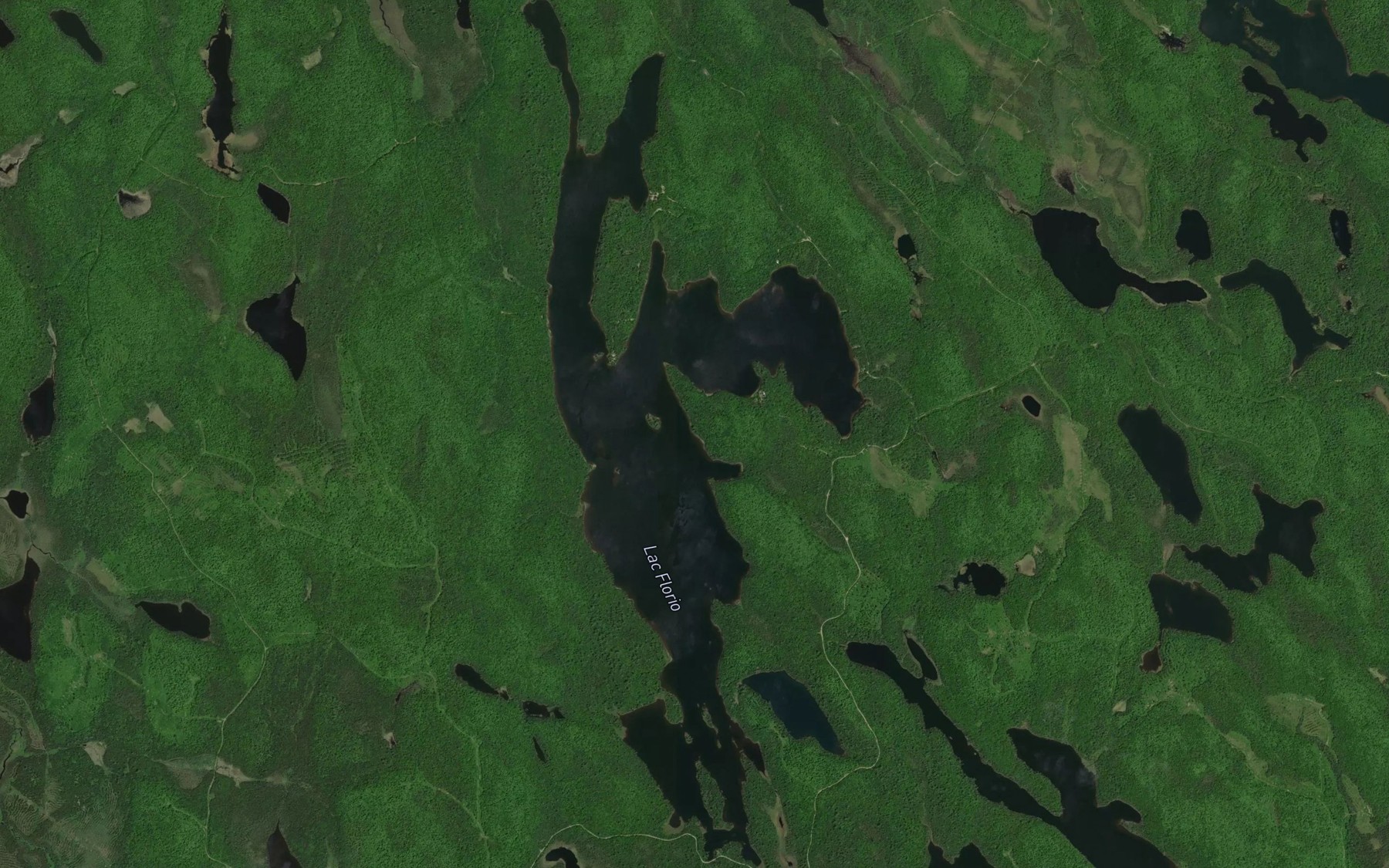 Satellite map of the Lac Florio